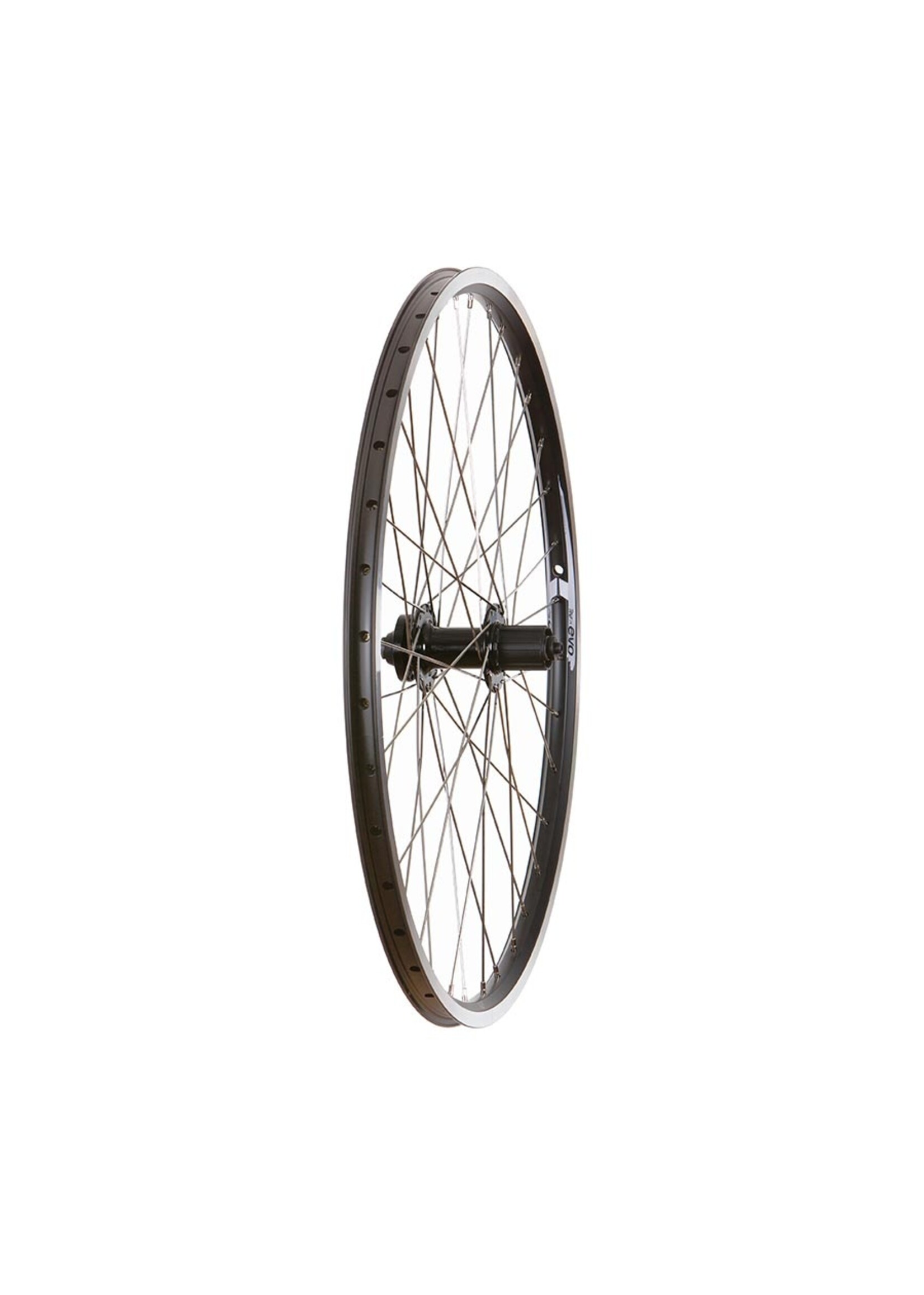 Evo Tour 19 Black/ Formula DC-22, Wheel, Rear, 26'' / 559, Holes: 36, QR, 135mm, Rim and Disc IS 6-bolt, Shimano HG