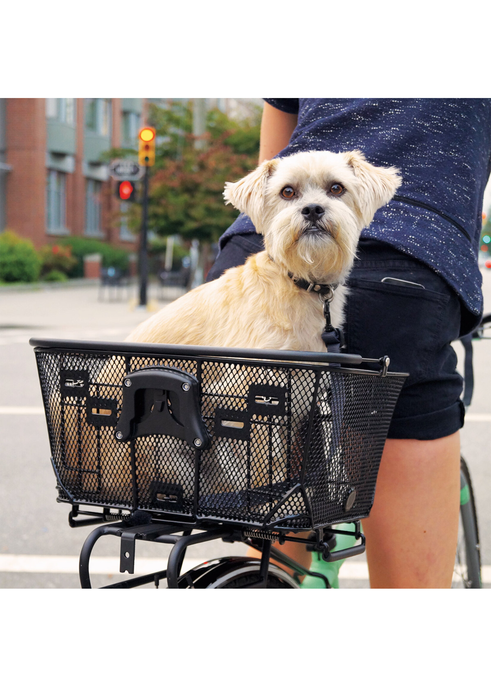 QR Dual Function Pet Basket