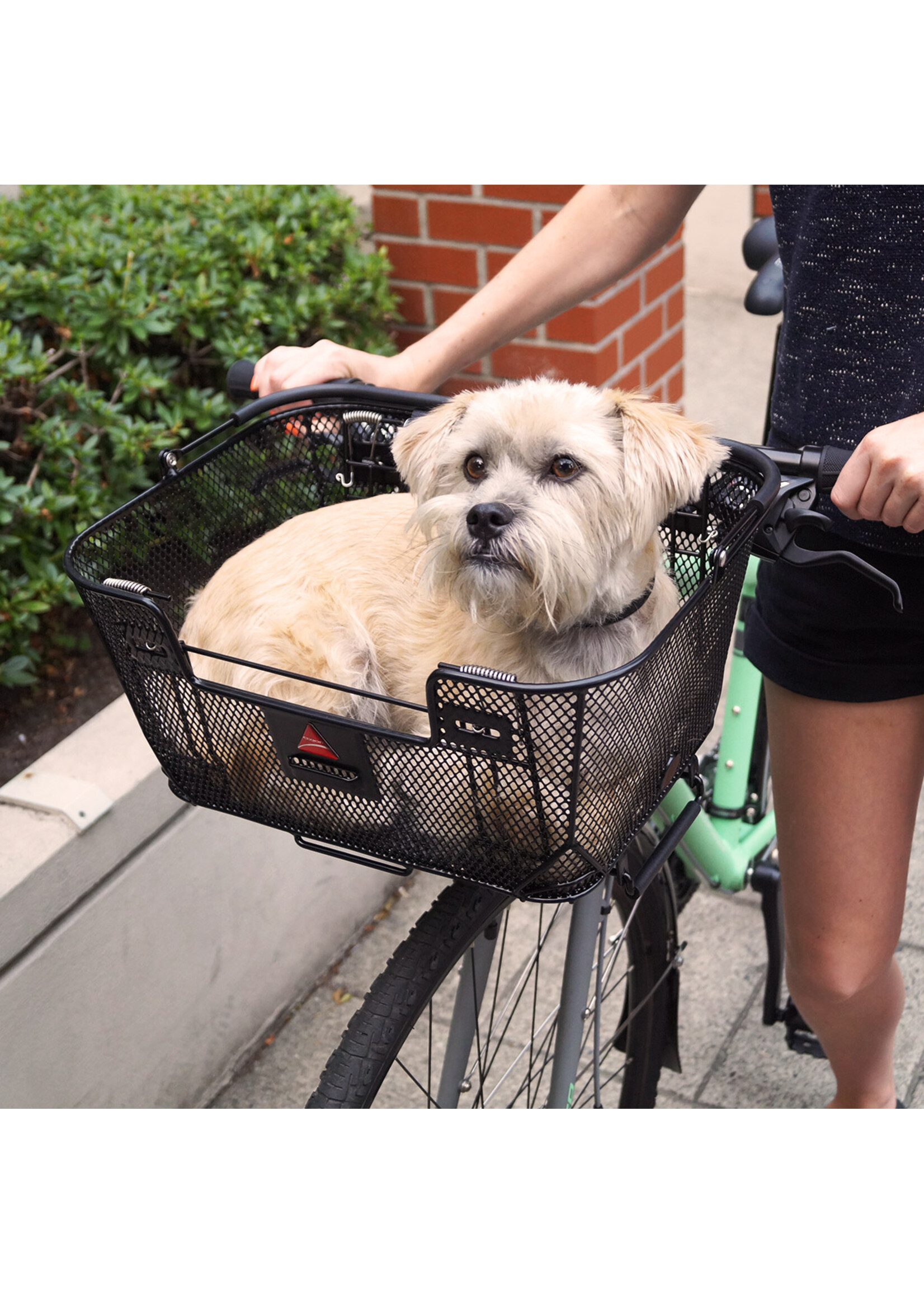 QR Dual Function Pet Basket