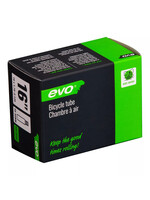 Evo Schrader Tube