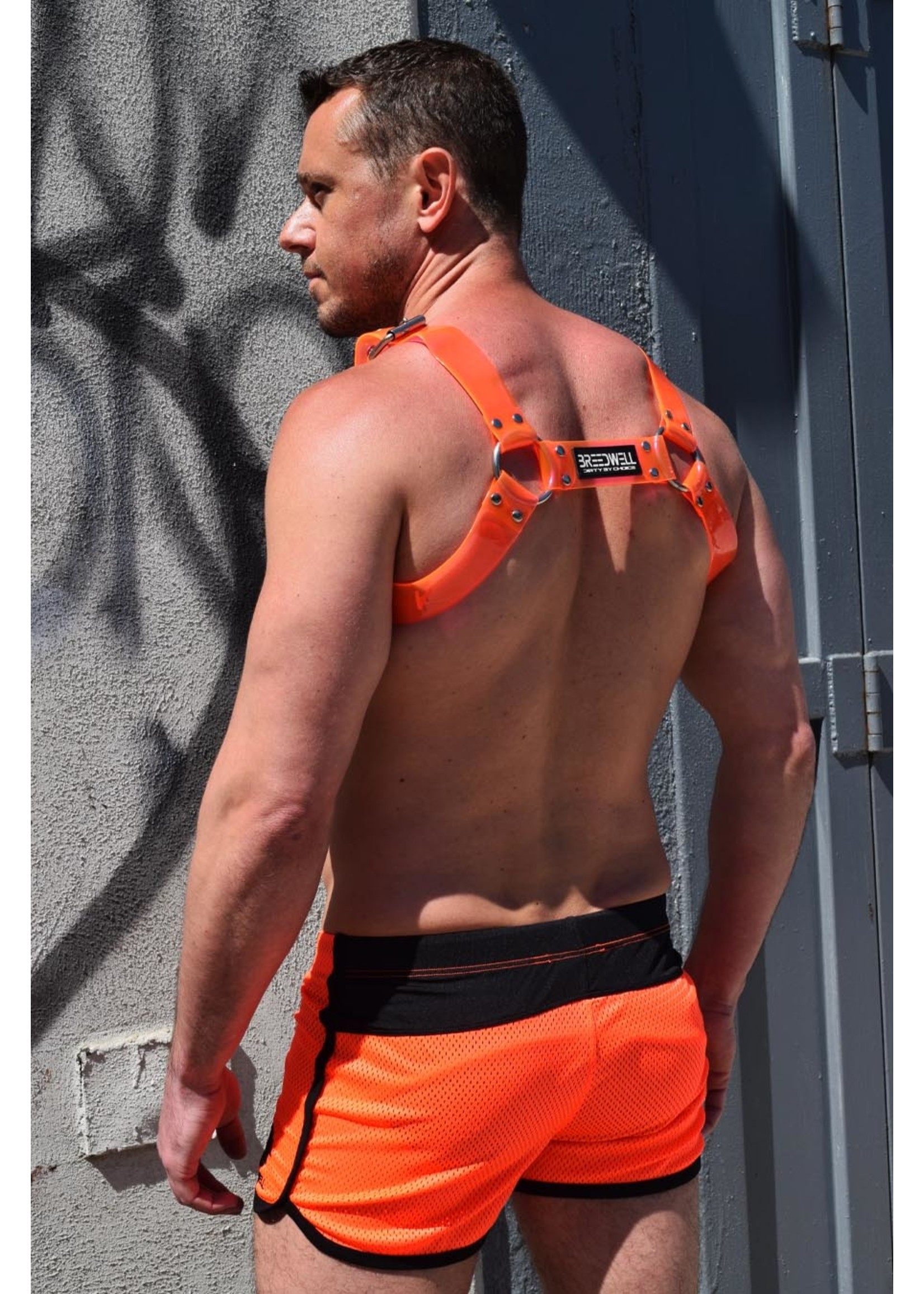 Breedwell Gear Breedwell Cyber Harness