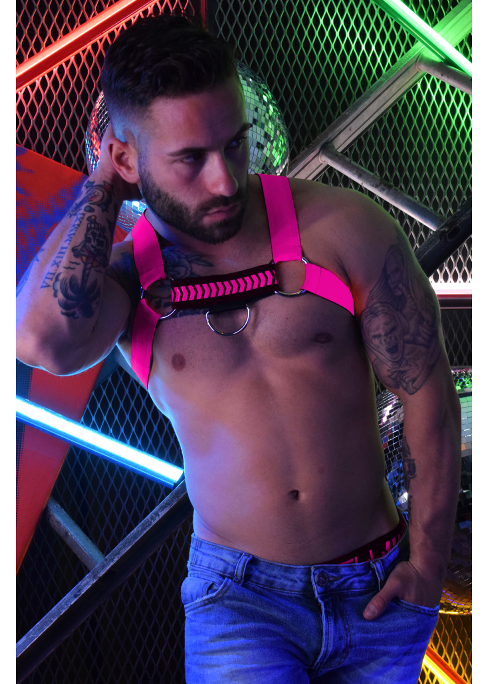 Breedwell Gear Breedwell Nightcrawler Harness