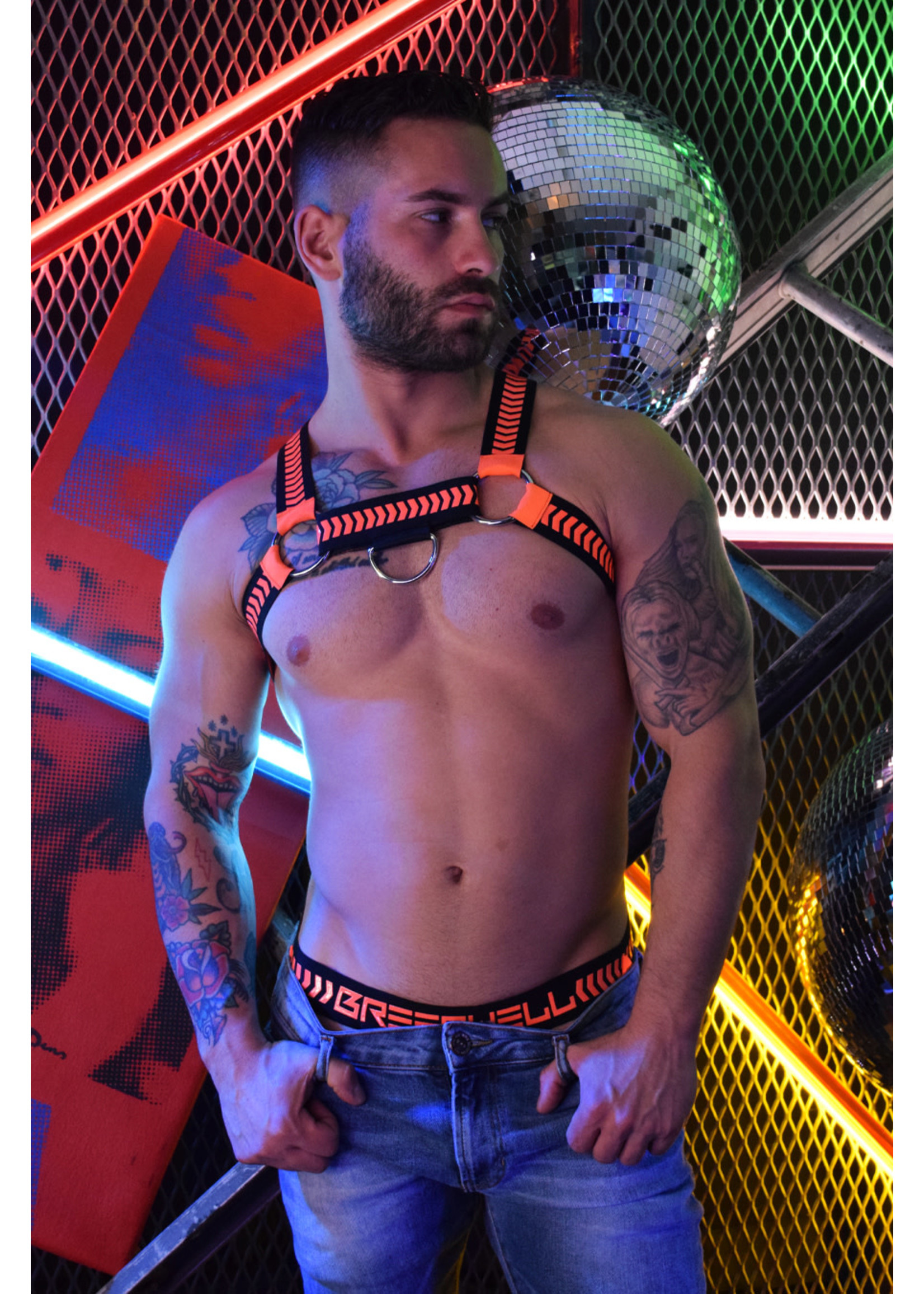 Breedwell Gear Breedwell Nightcrawler Harness