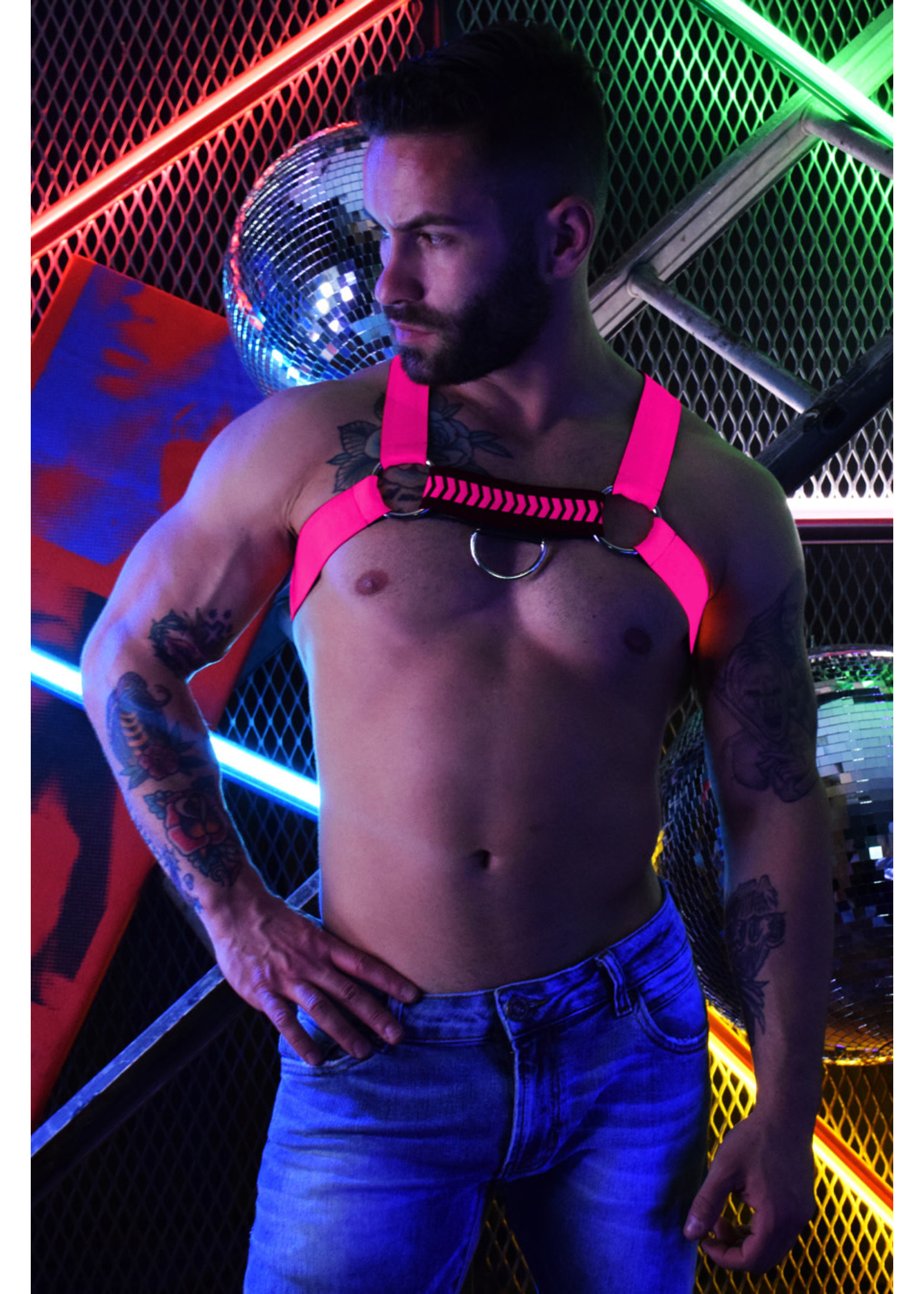 Breedwell Gear Breedwell Nightcrawler Harness