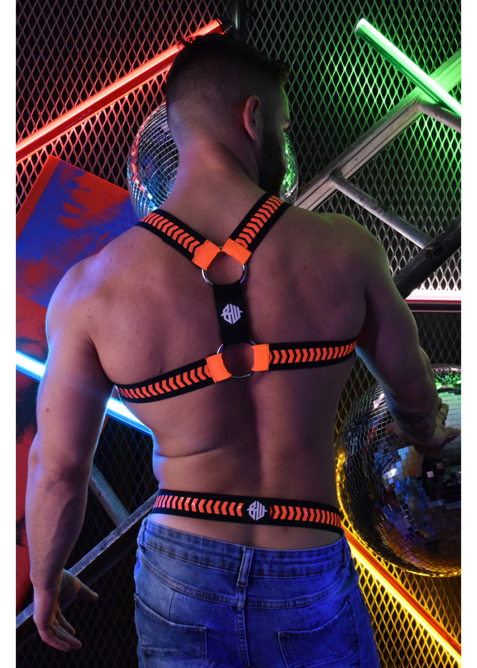 Breedwell Gear Breedwell Nightcrawler Harness