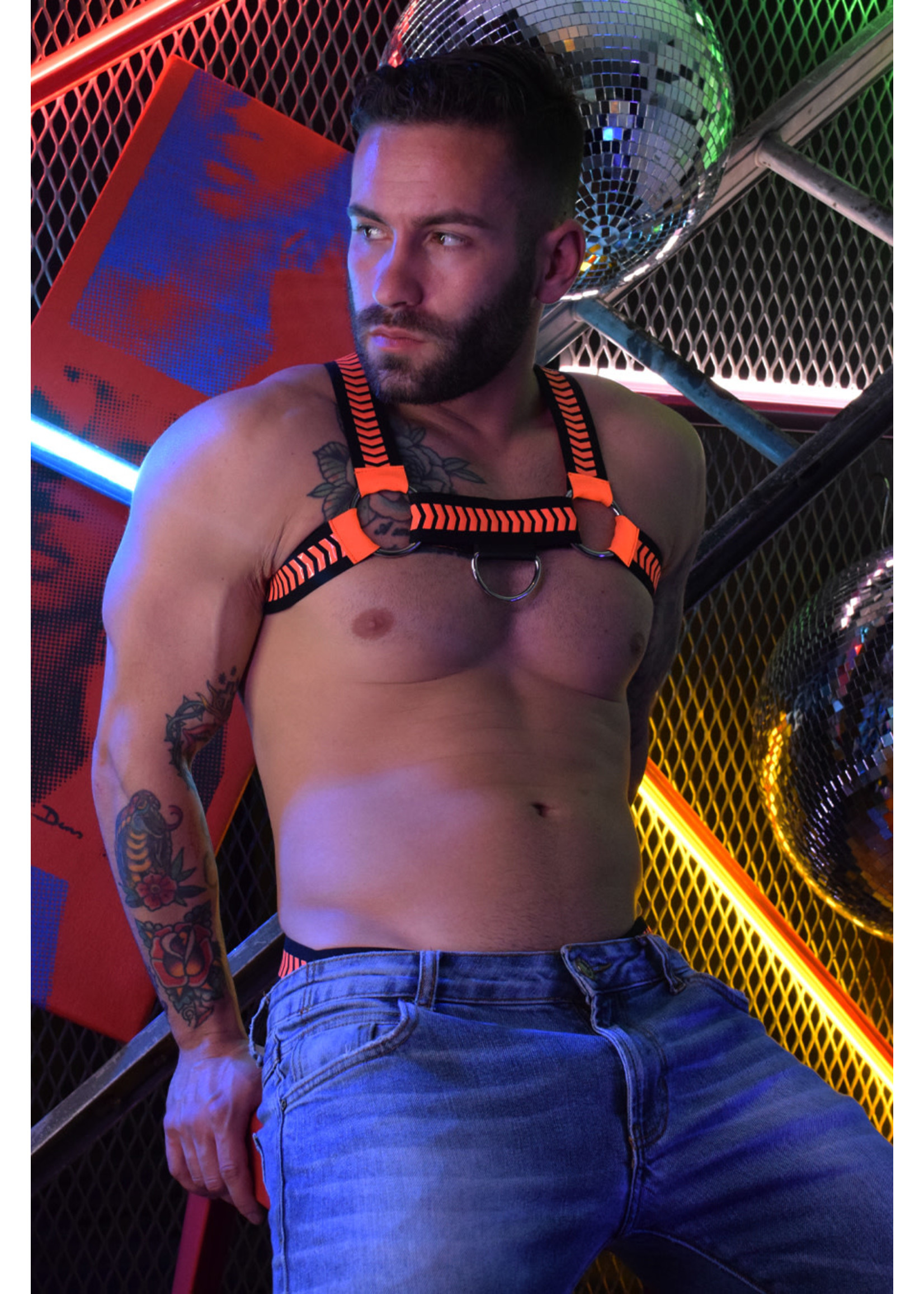 Breedwell Gear Breedwell Nightcrawler Harness