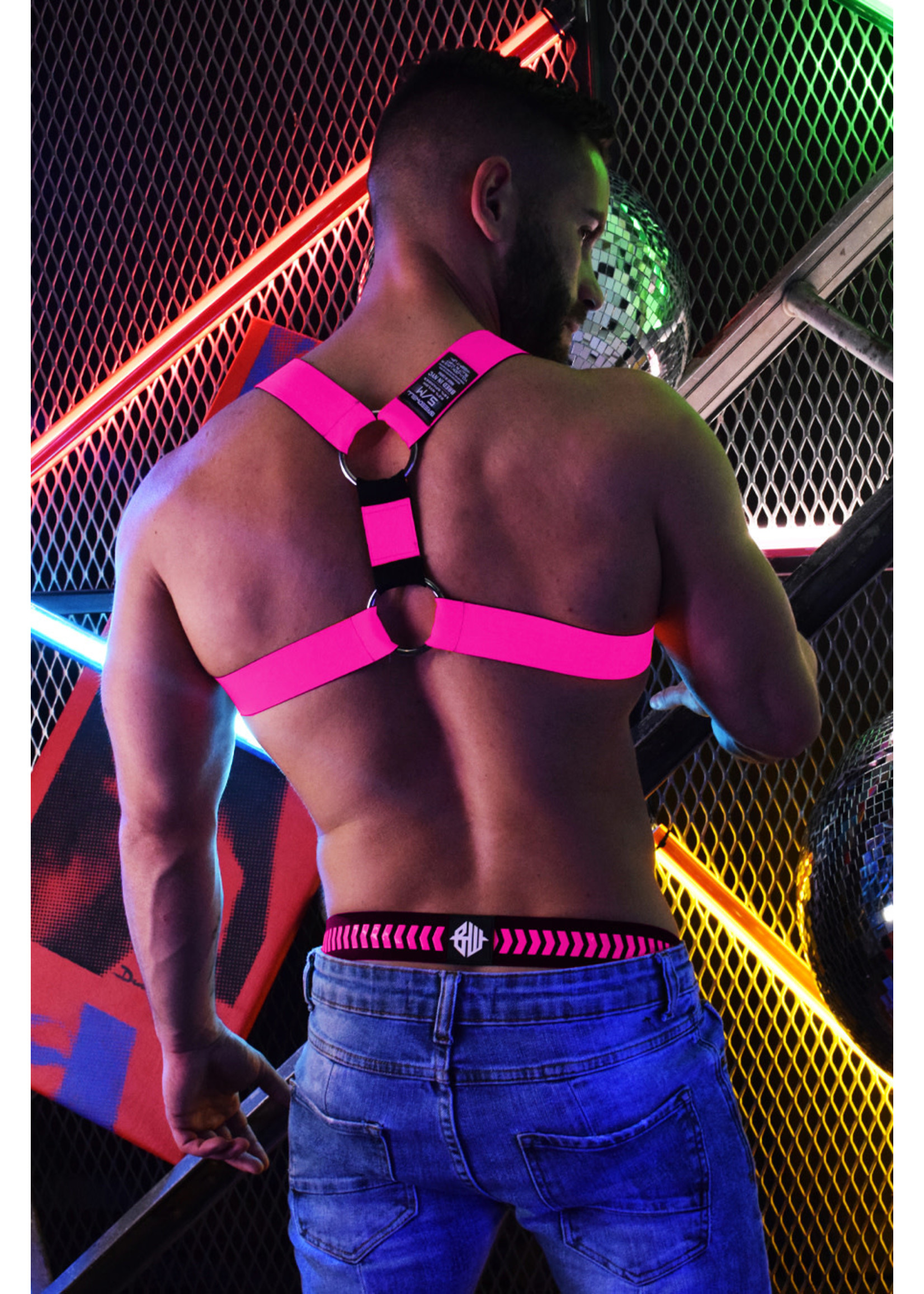 Breedwell Gear Breedwell Nightcrawler Harness