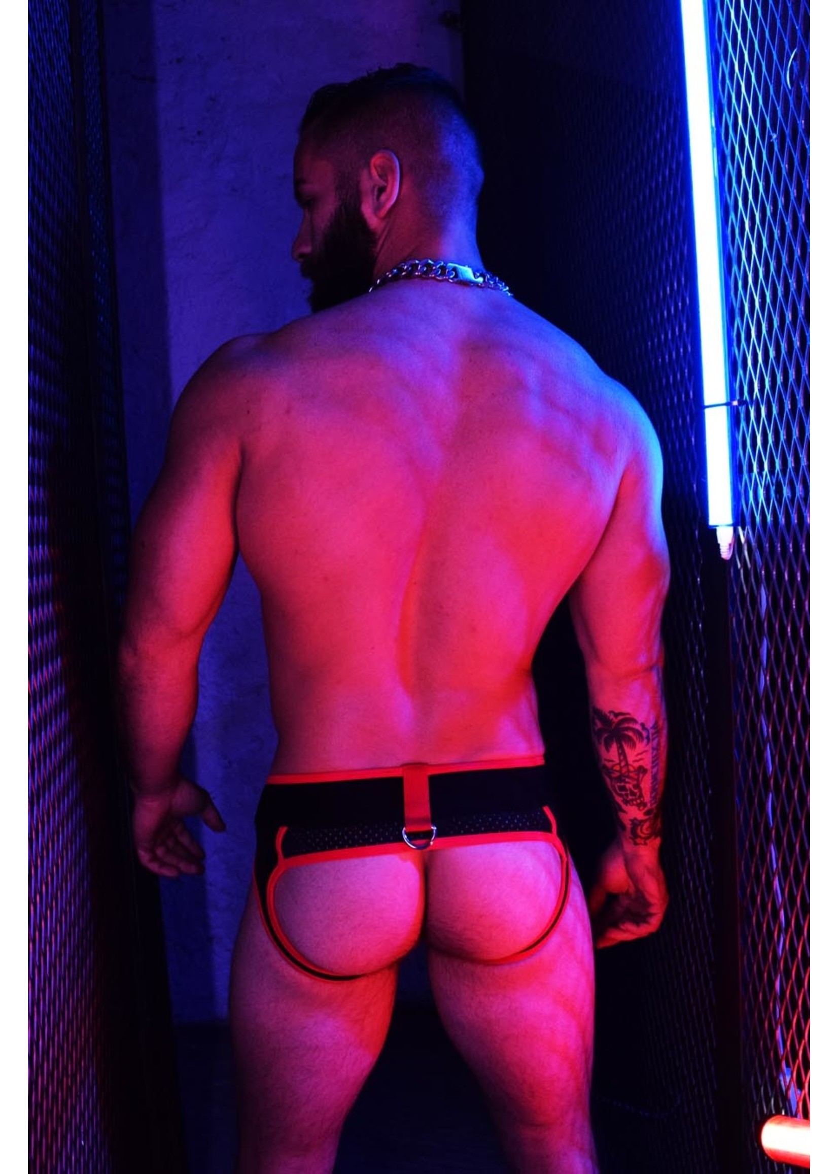 Breedwell Gear Breedwell Neogear Jock