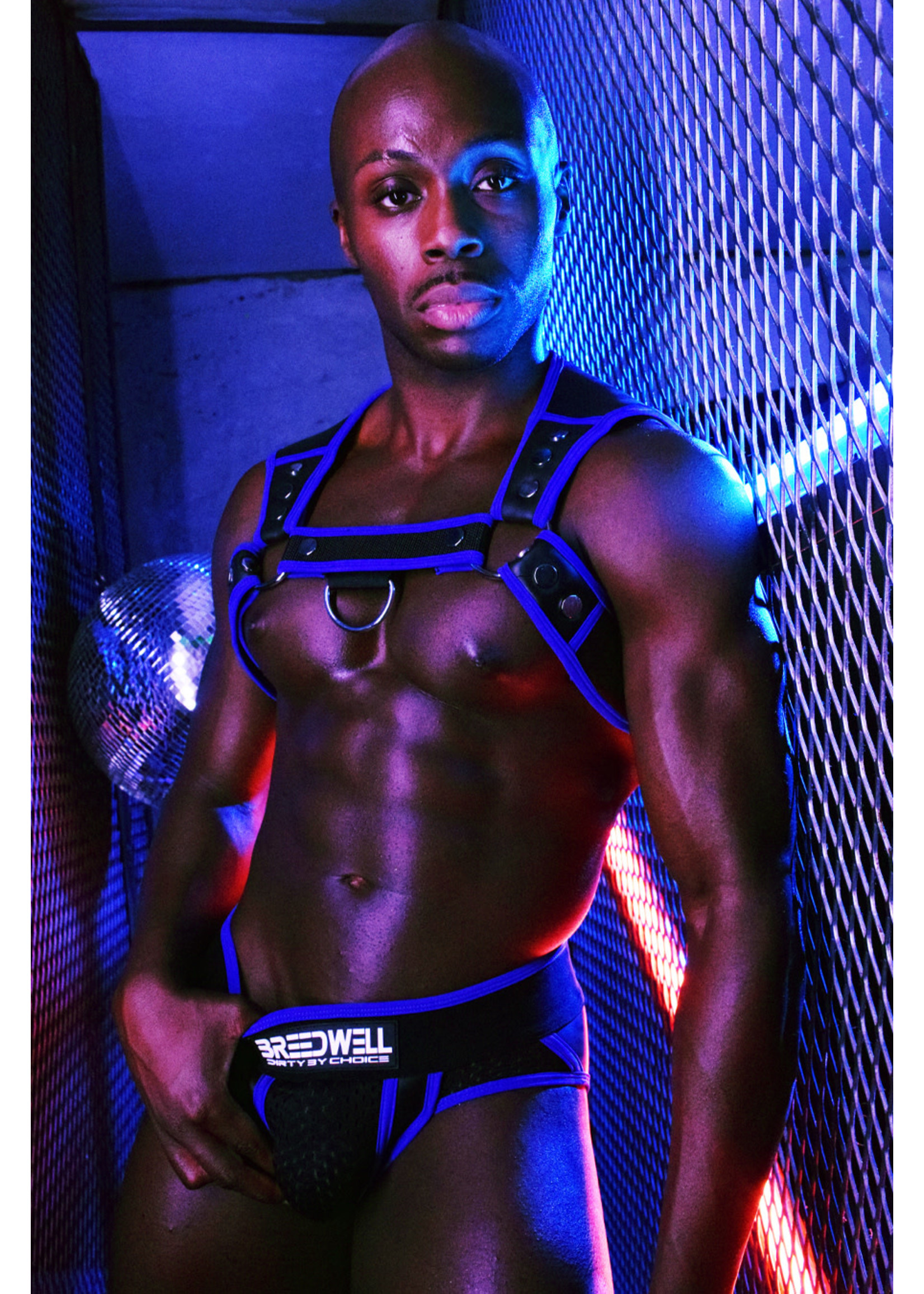 Breedwell Gear Breedwell Neogear Harness