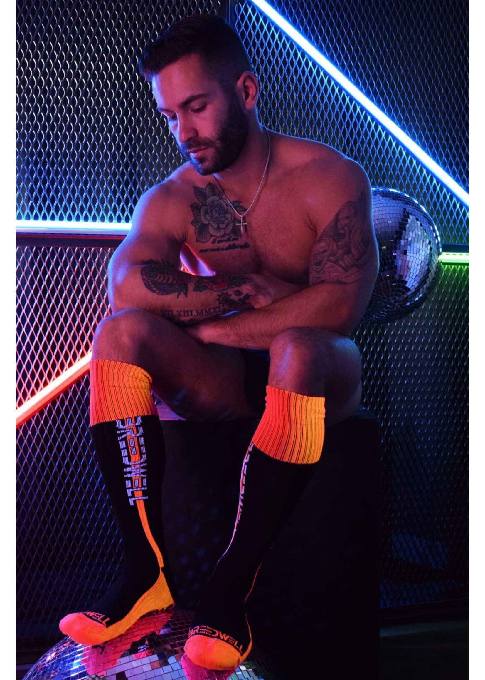 Breedwell Gear Nightcrawler Socks