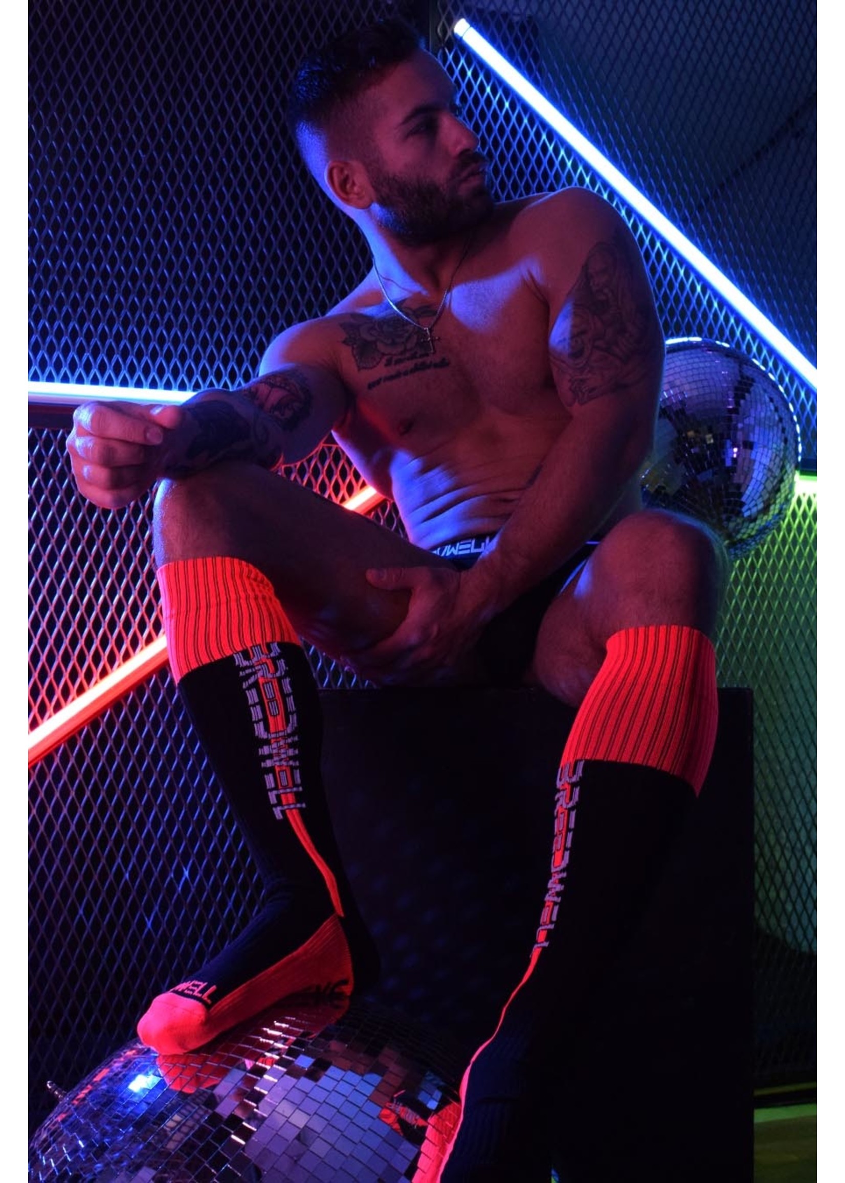 Breedwell Gear Nightcrawler Socks