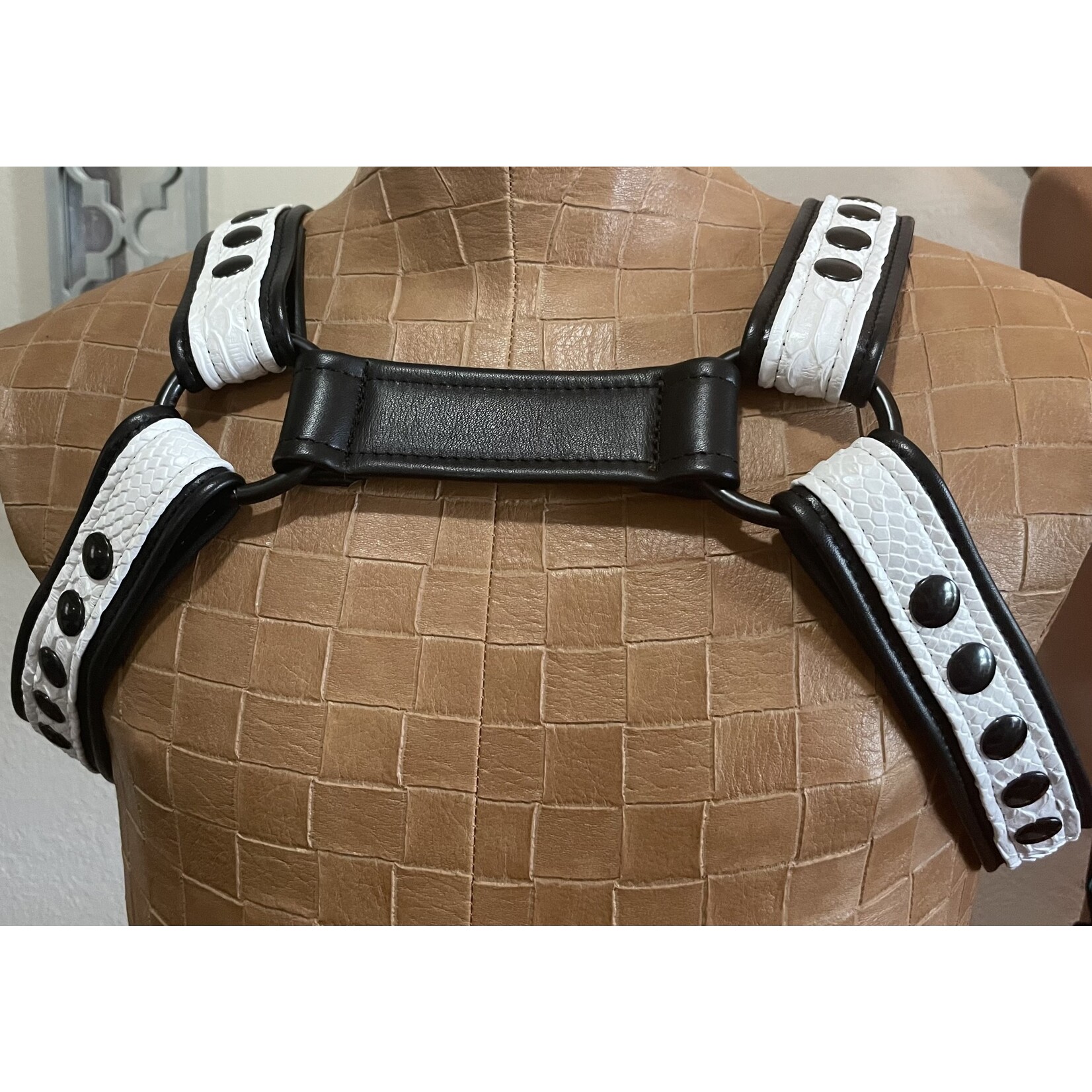 P & C Creations Premium Bulldog Harness - Assorted