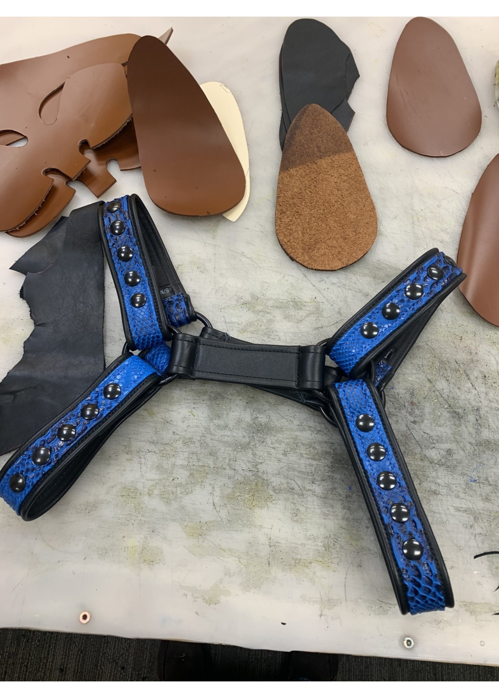 P & C Creations Premium Bulldog Harness - Assorted