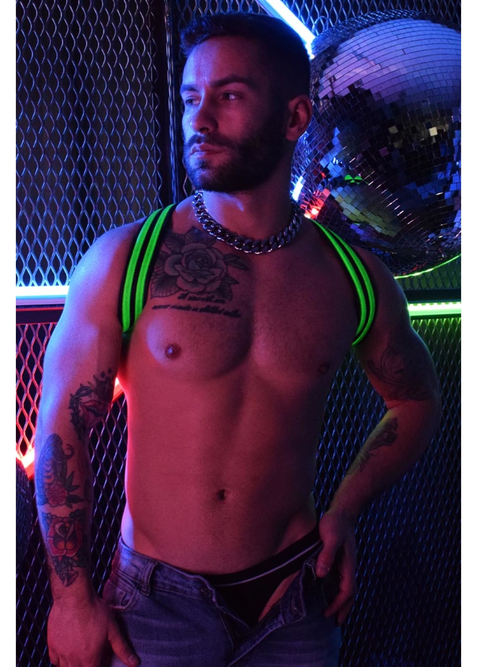 Breedwell Gear Breedwell Rave Shoulder Harness