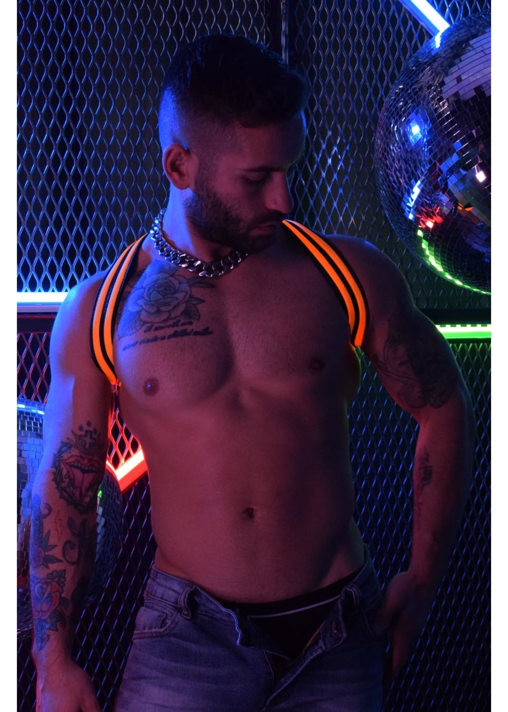 Breedwell Gear Breedwell Rave Shoulder Harness