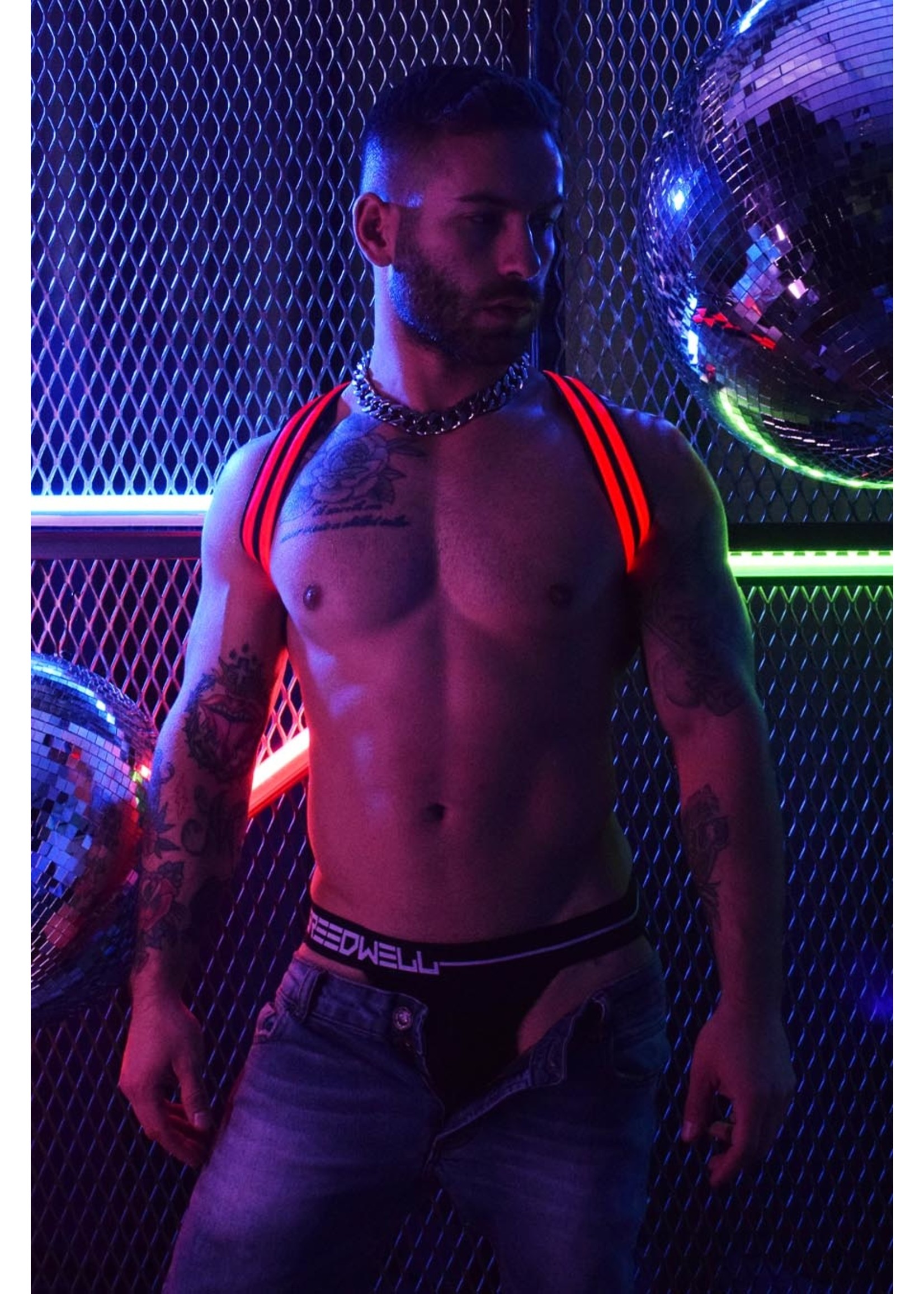 Breedwell Gear Breedwell Rave Shoulder Harness