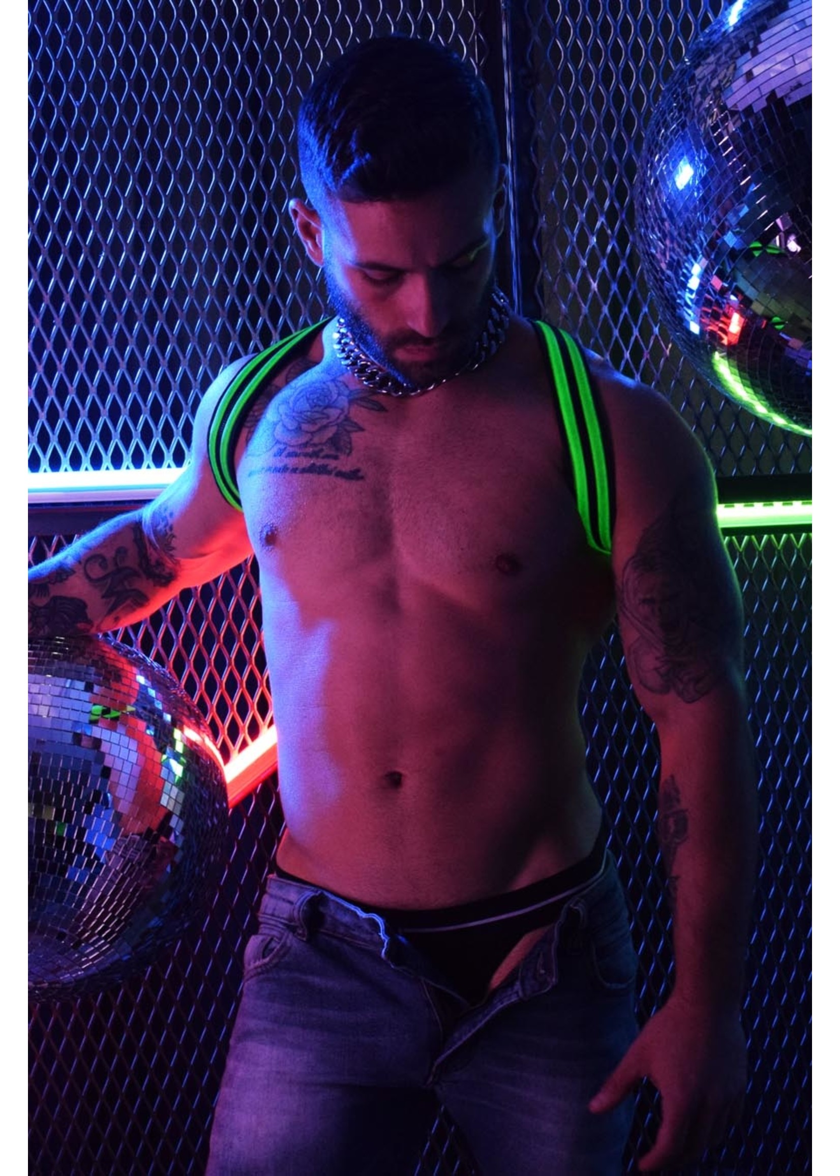 Breedwell Gear Breedwell Rave Shoulder Harness