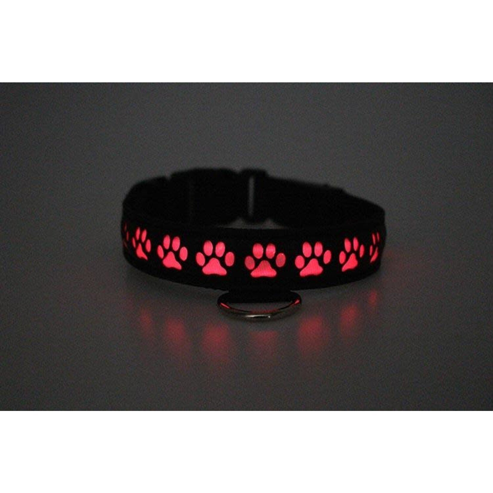 Breedwell Gear Breedwell Lighted Pup Collar