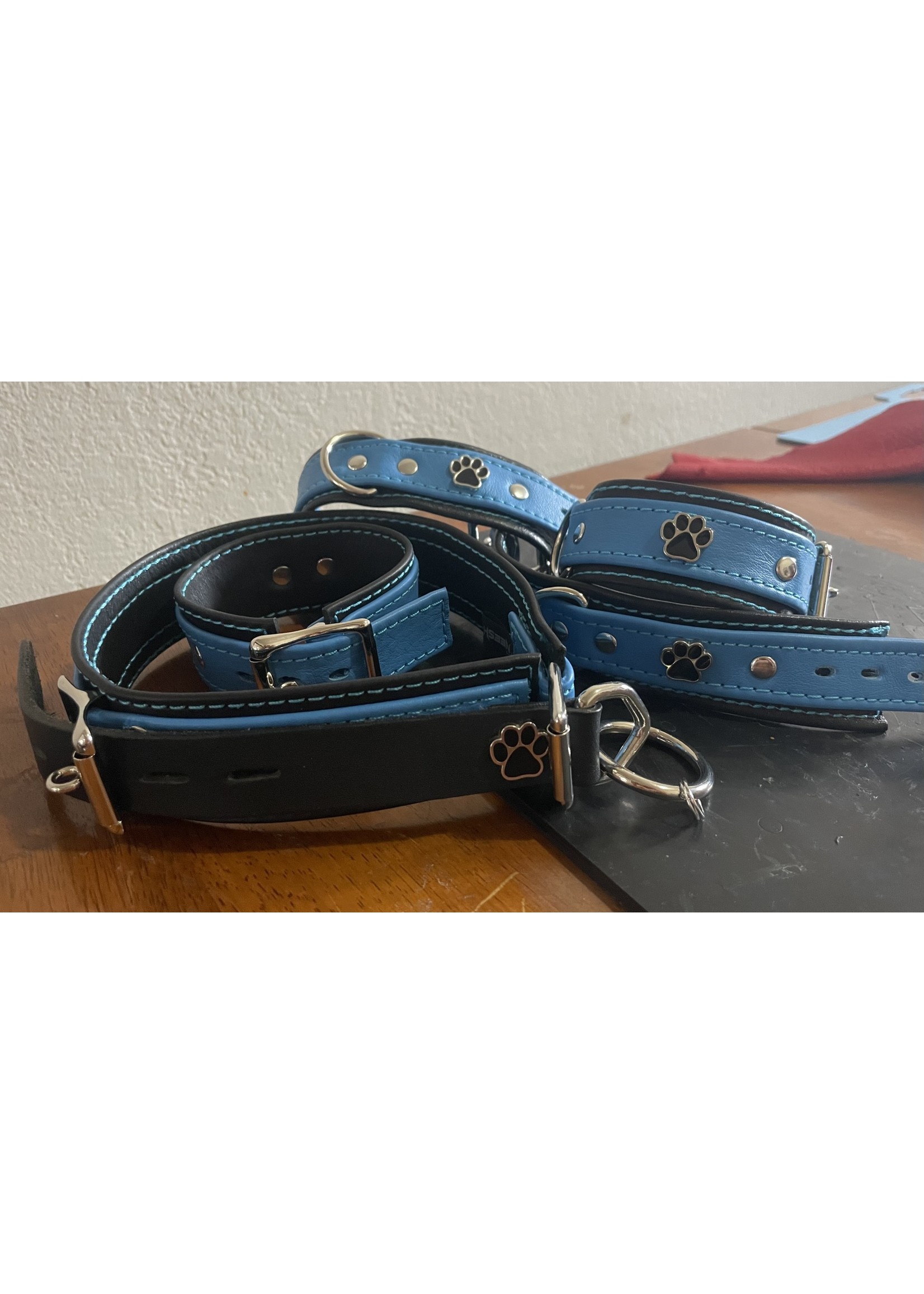 Neesh-Wear Neesh Pup Wrist or Ankle Restraint