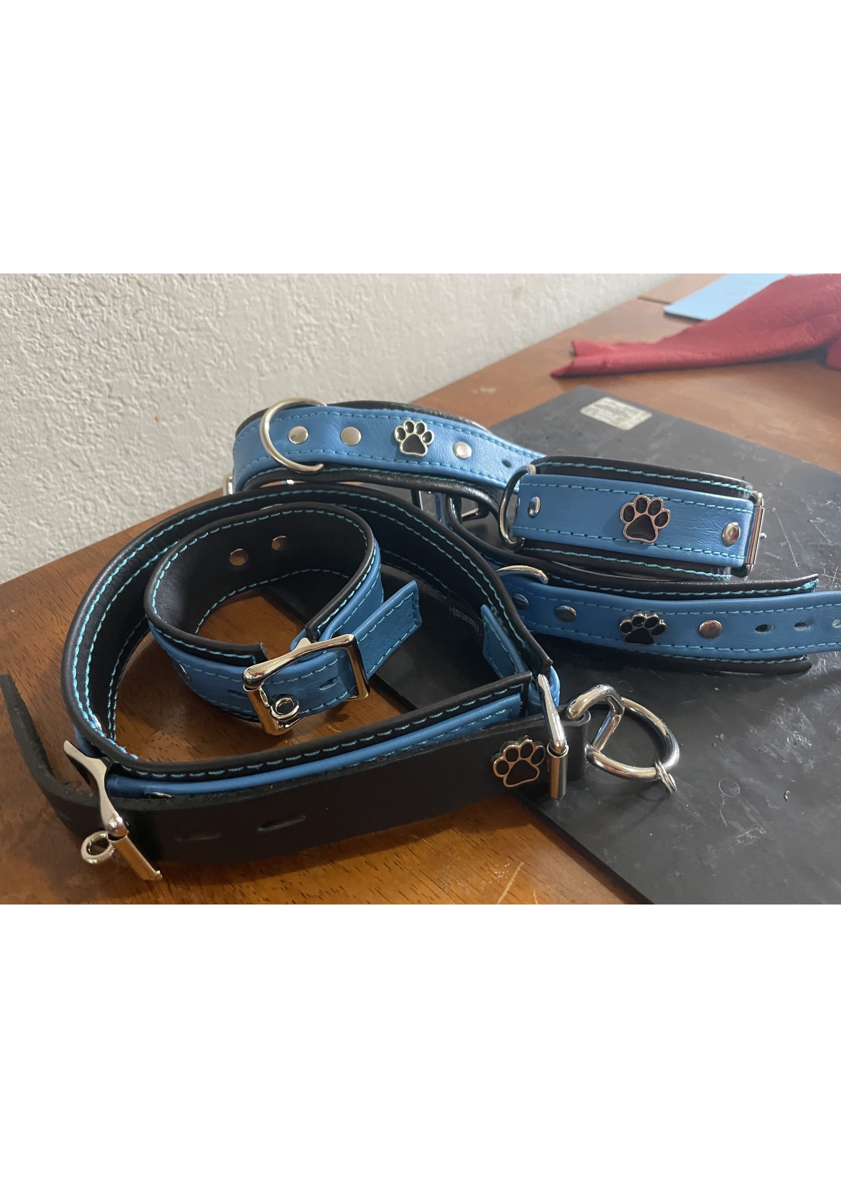 Neesh-Wear Neesh Pup Wrist or Ankle Restraint