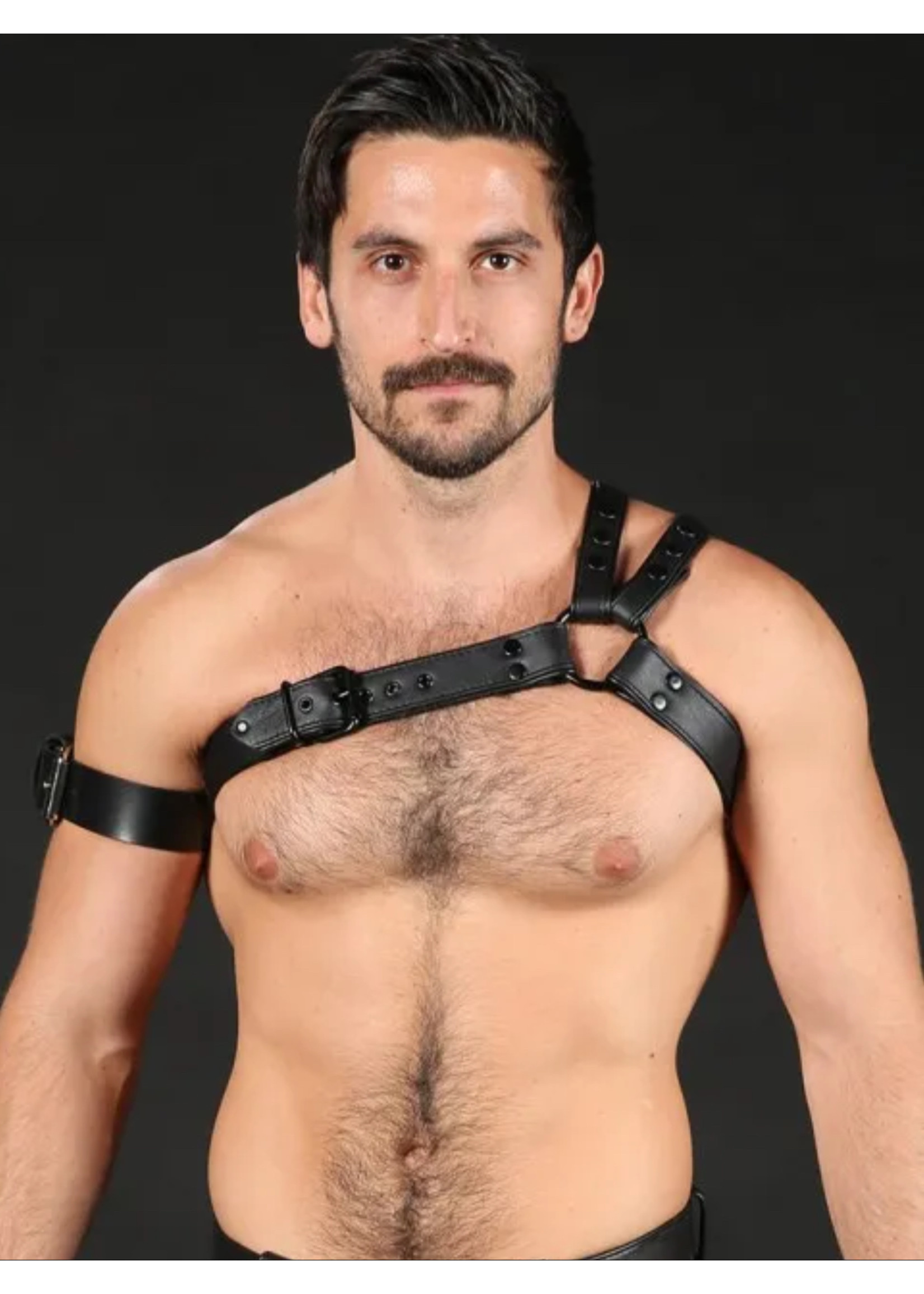 Mr. S Leather Mr. S Leather - Leather Slingshot Tri-Harness
