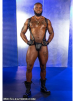 Mr. S Leather Mr. S Leather - Leather Hunter Harness