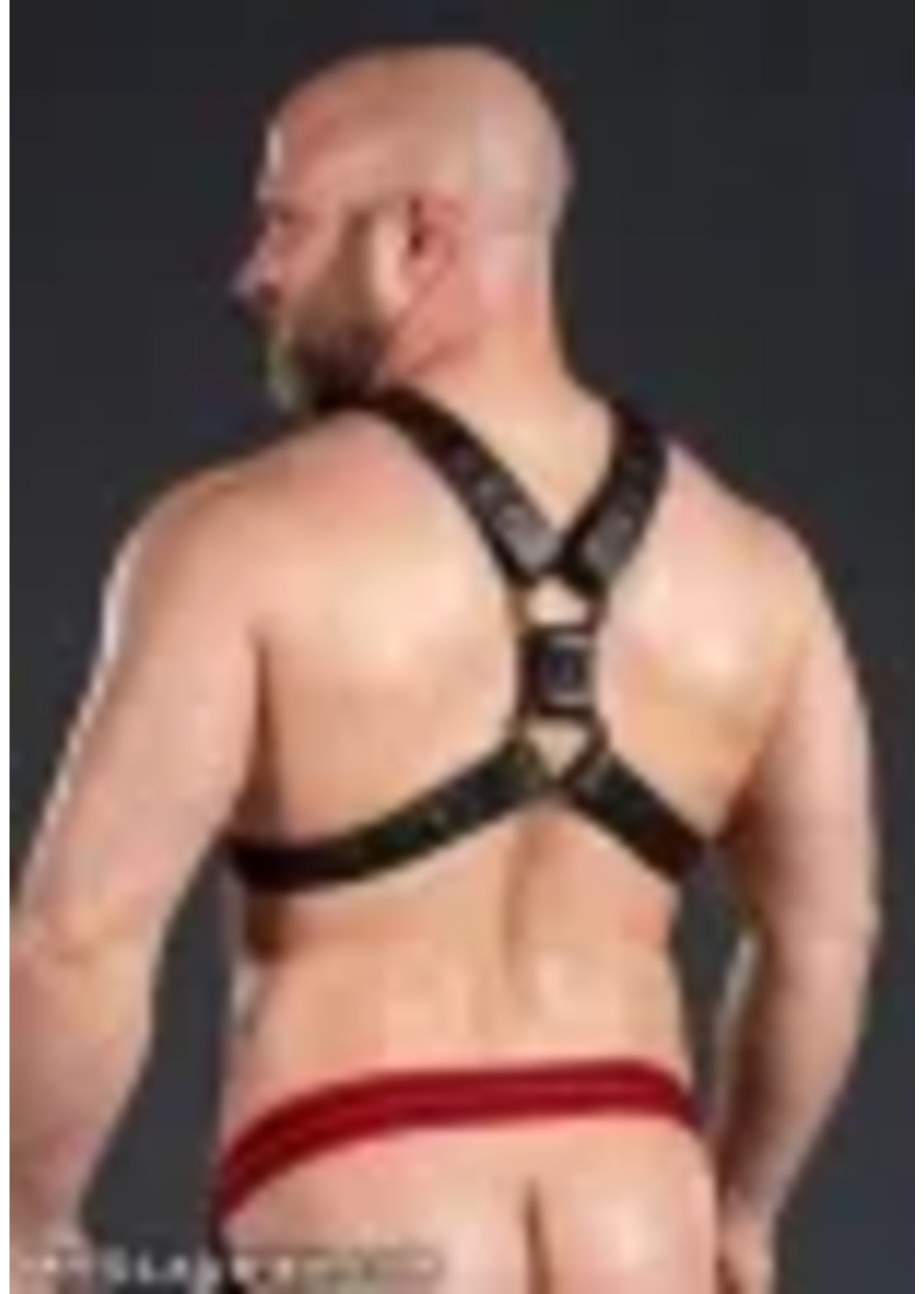 Mr. S Leather Mr. S Leather - Leather English Top Buckle Harness - Garment