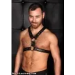 Mr. S Leather Mr. S Leather - Leather English Top Buckle Harness - Garment
