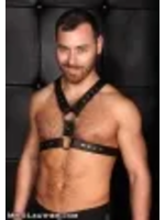 Mr. S Leather Mr. S Leather - Leather English Top Buckle Harness - Garment