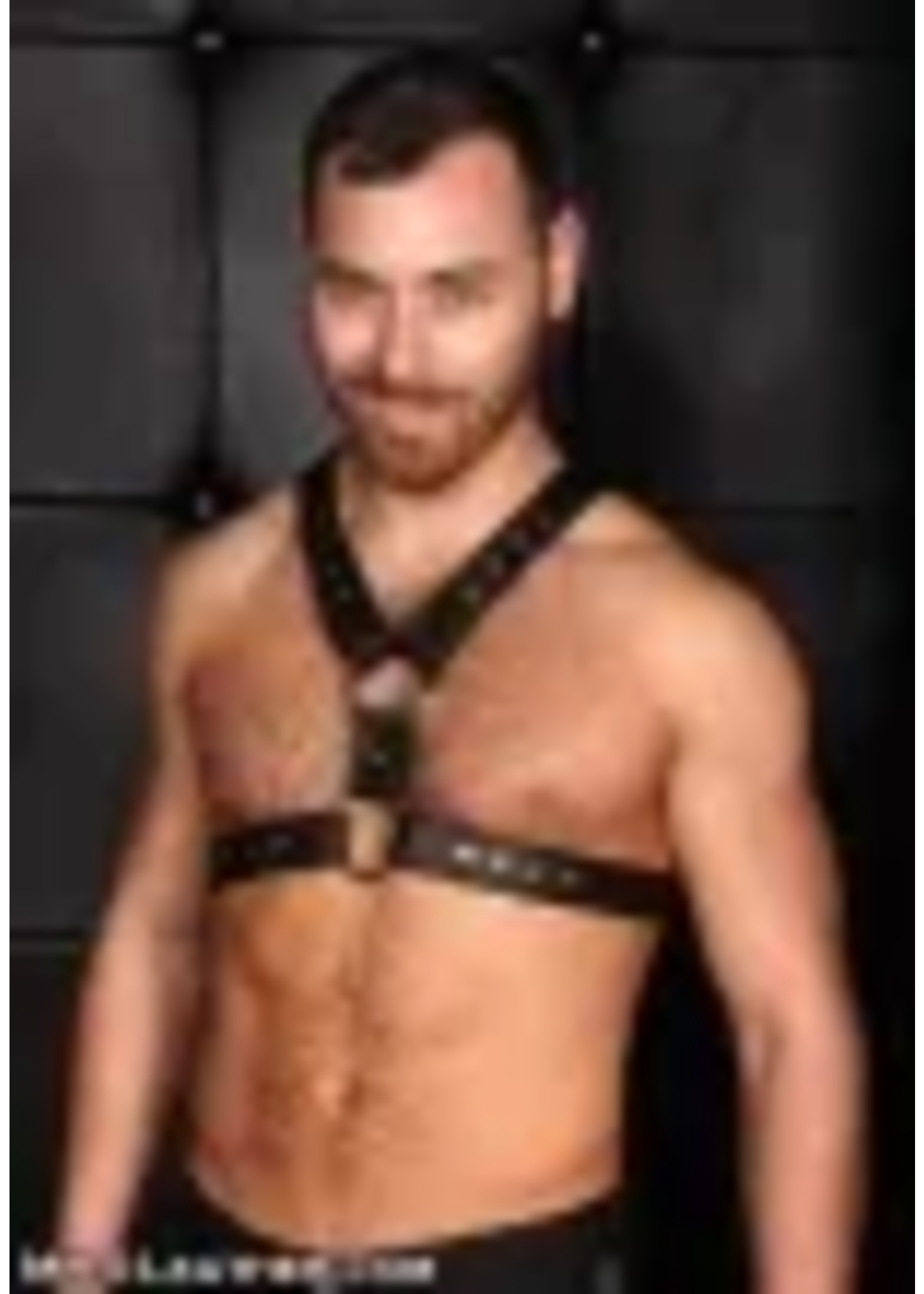 Mr. S Leather Mr. S Leather - Leather English Top Buckle Harness - Garment