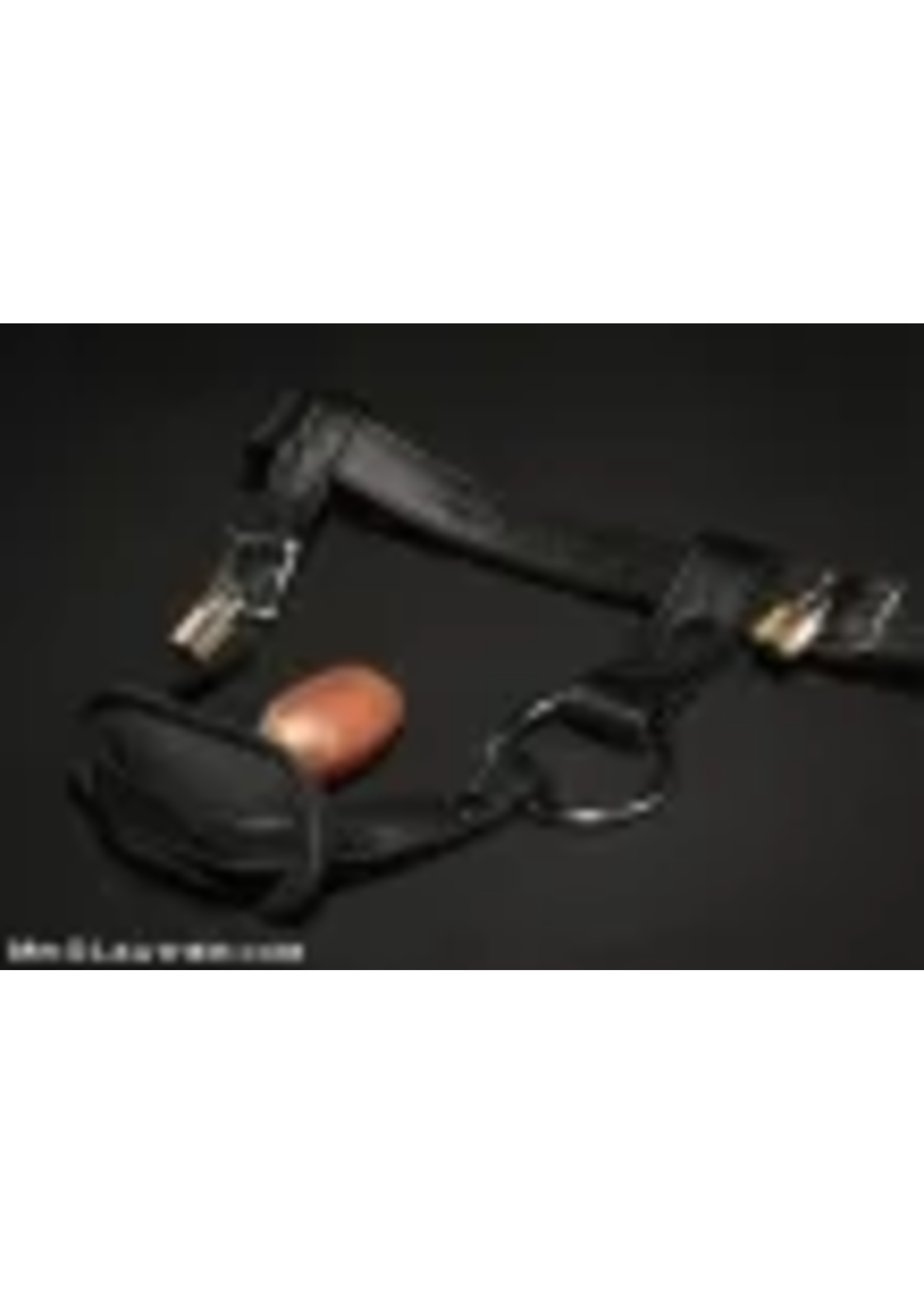 Mr. S Leather Mr. S Leather - Deluxe Locking Leather Butt Plug Harness
