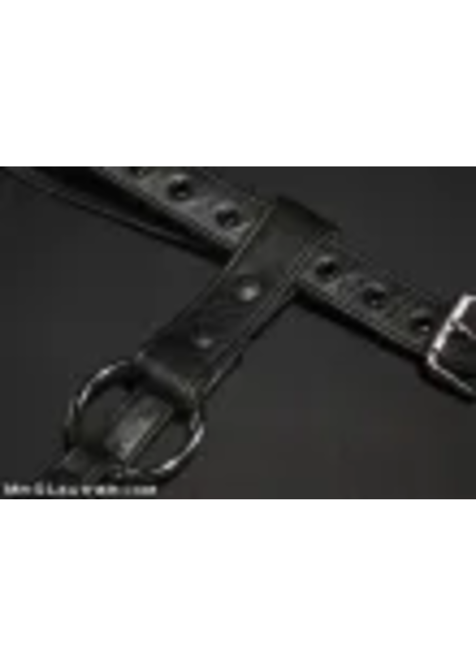 Mr. S Leather Mr. S Leather - Deluxe Non-Locking Leather Butt Plug Harness