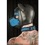 Mr. S Leather Neo Puppy Collar