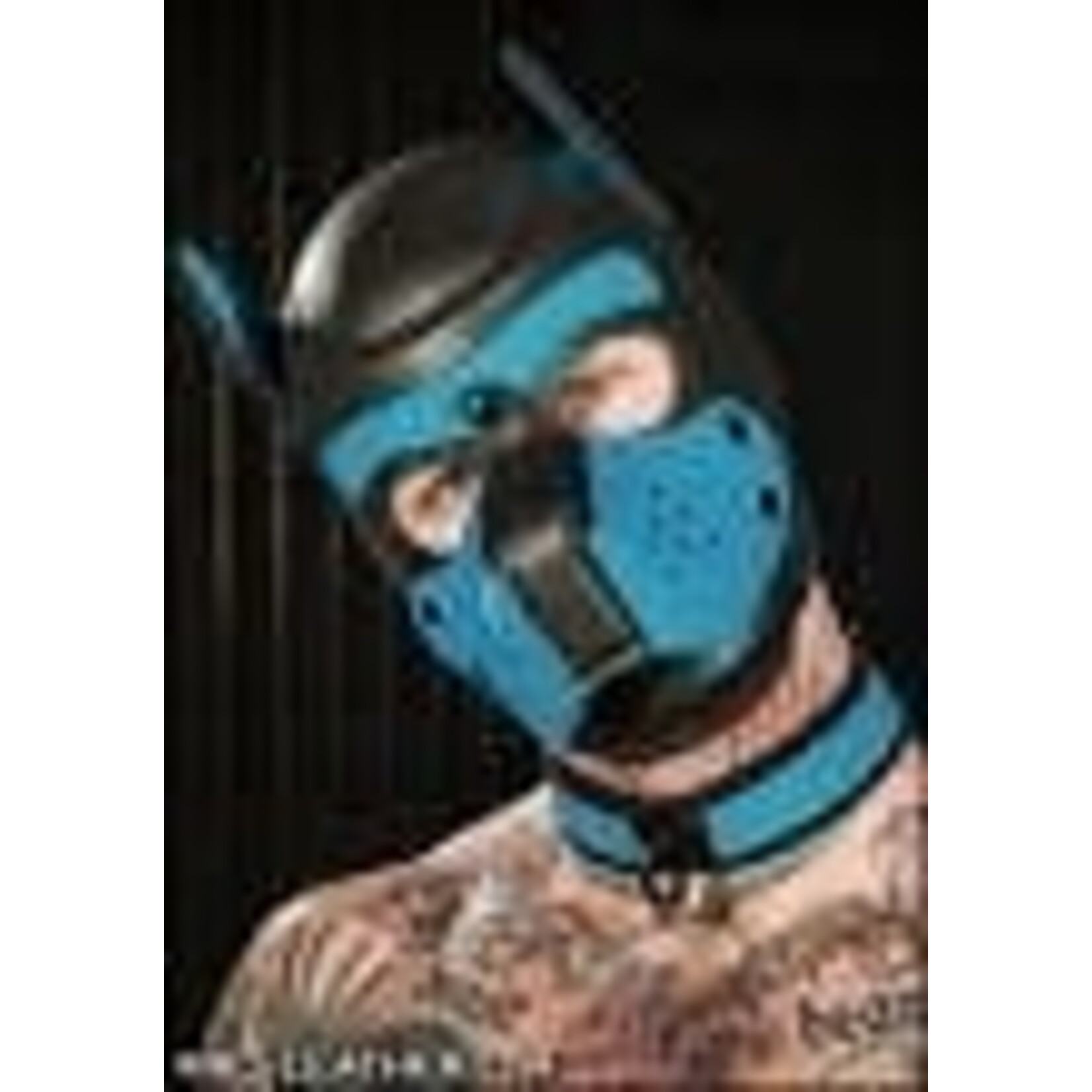 Mr. S Leather Neo Puppy Collar