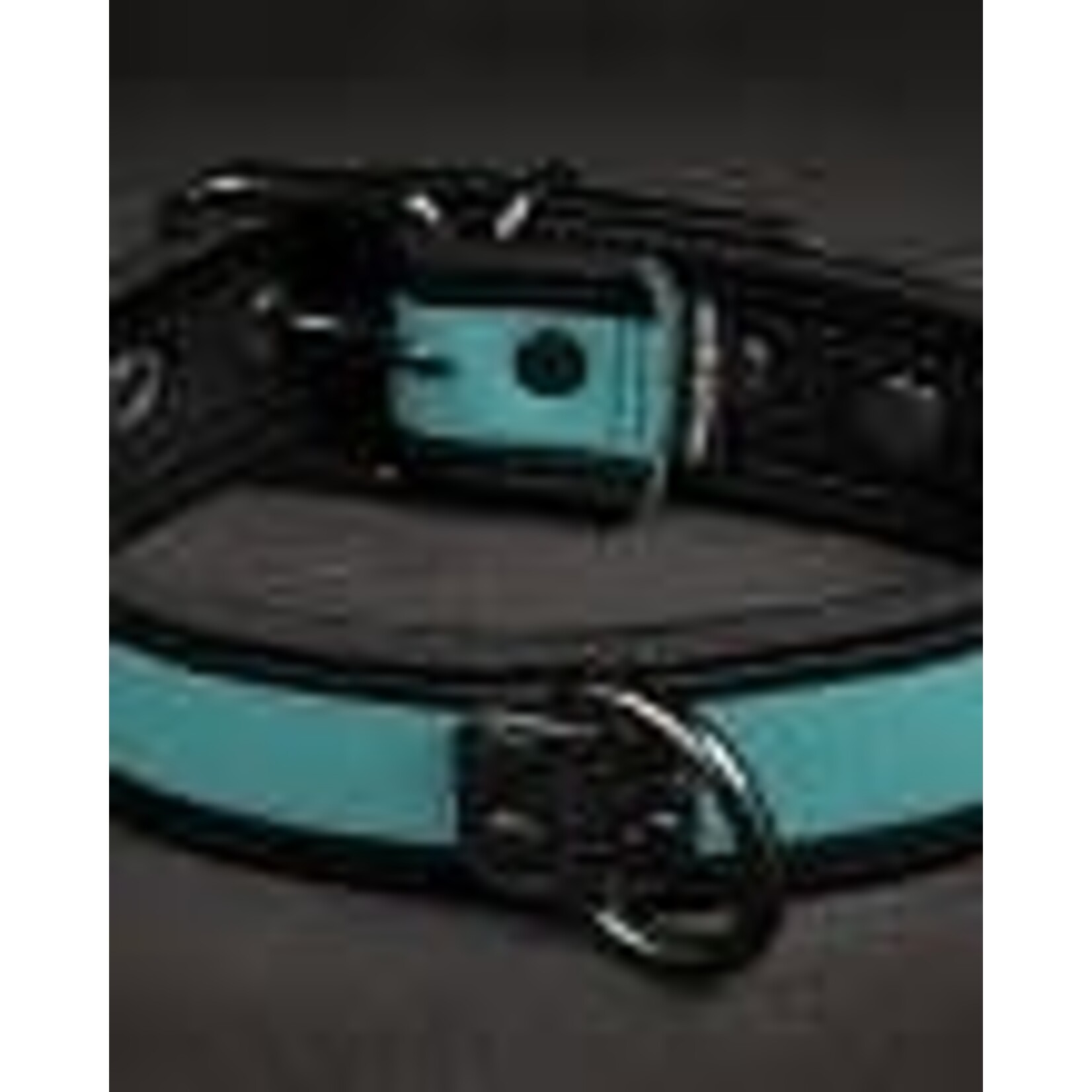 Mr. S Leather Neo Puppy Collar