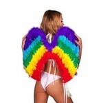 Western Fashion Feathered Pride Wings -Rainbow