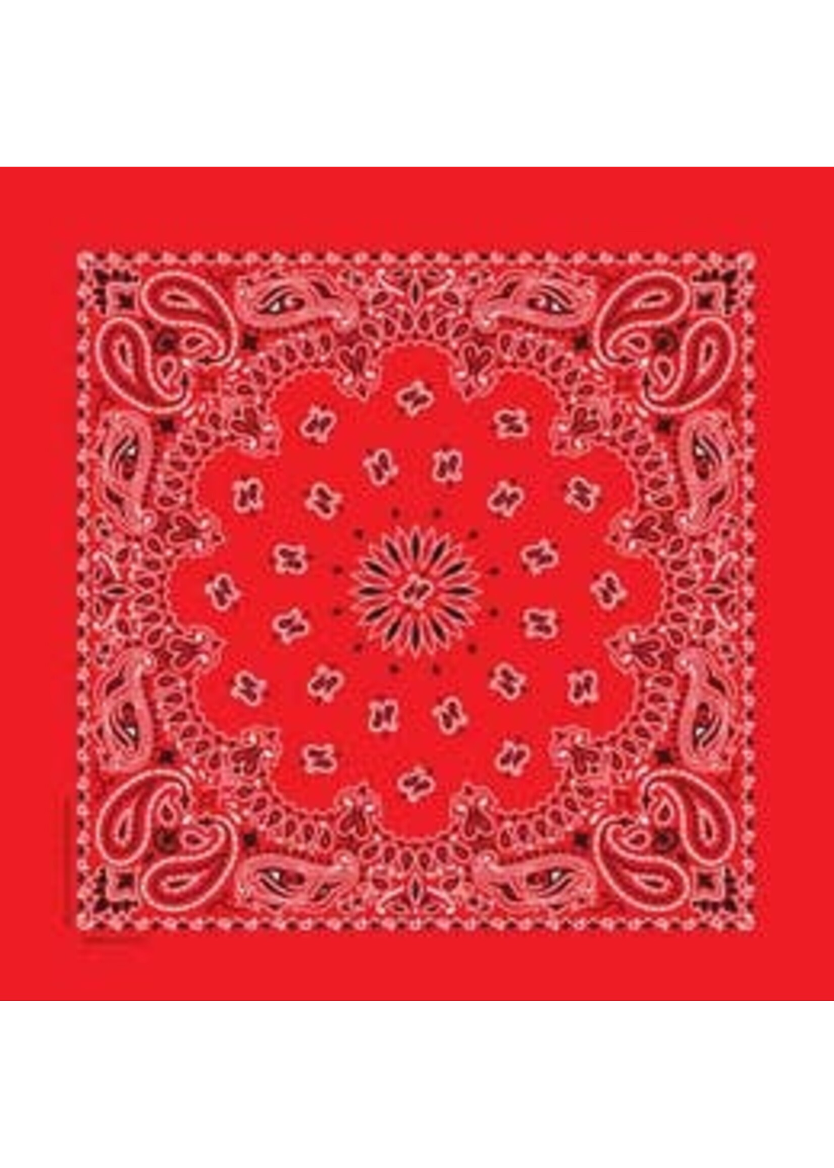 Classic Paisley Bandanna
