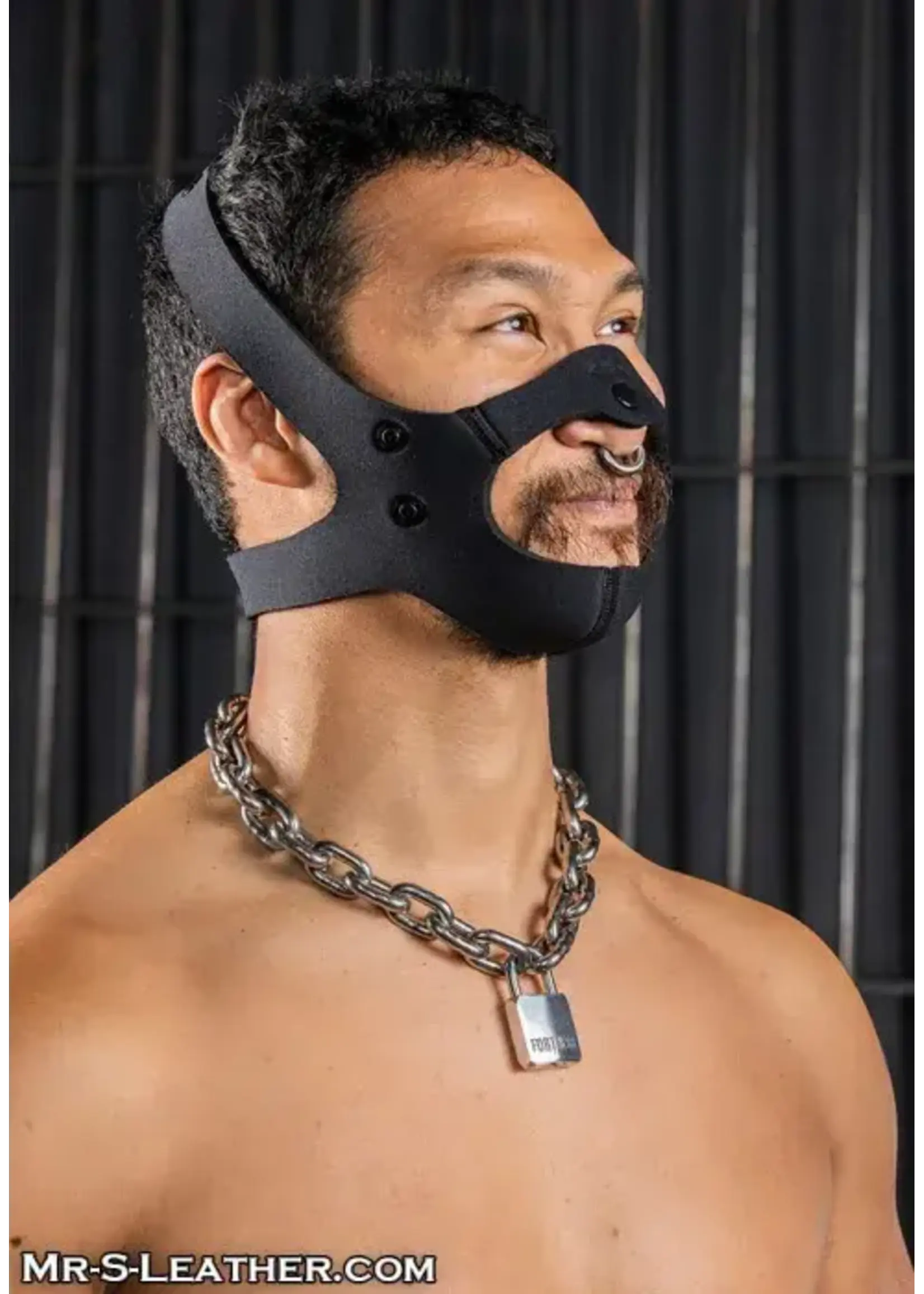 Mr. S Leather Mr. S Leather - Neo Face Muzzle Head Harness -Black - One Size