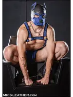 Mr. S Leather Neoprene K9 Hood