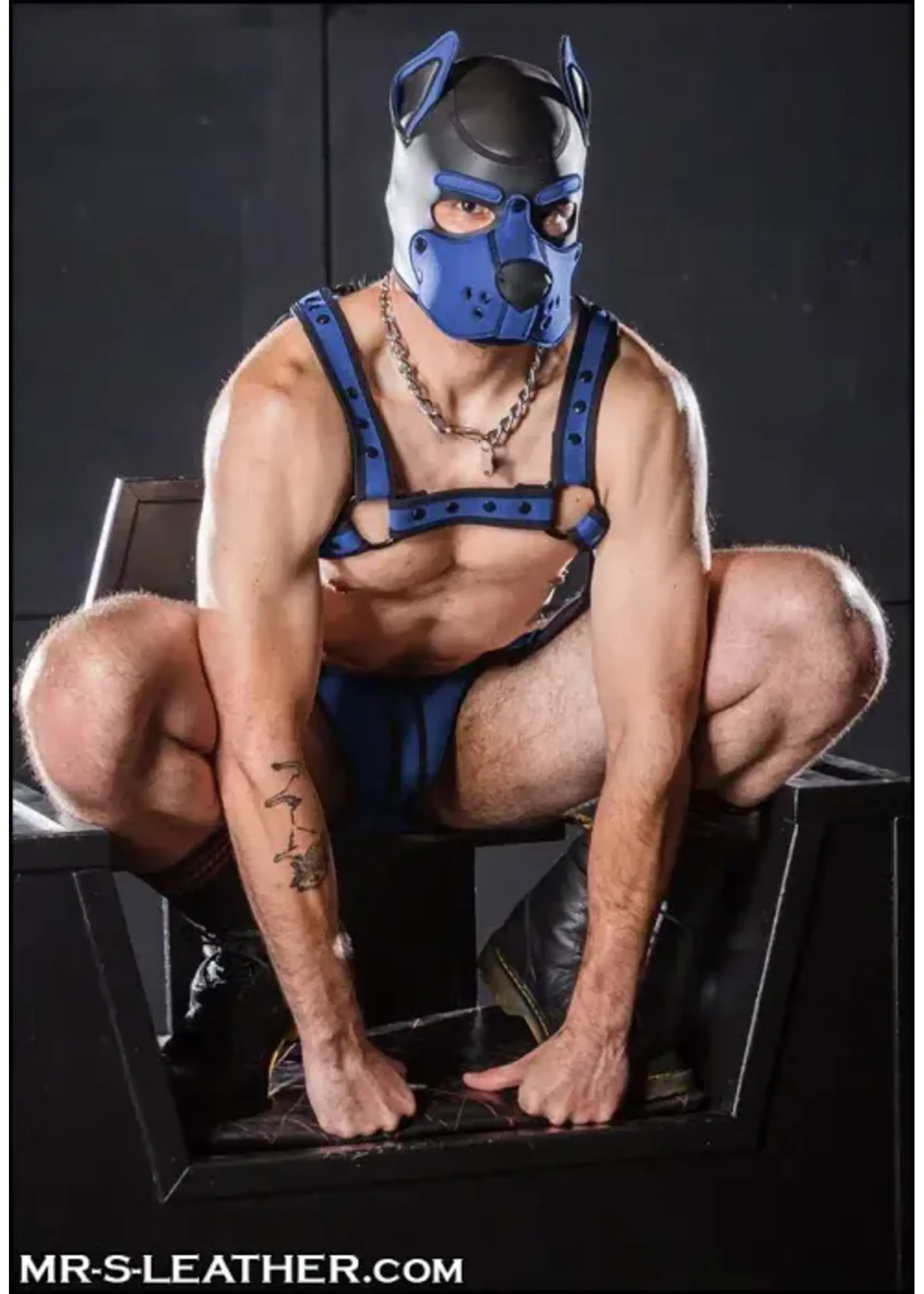 Mr. S Leather Neoprene K9 Hood