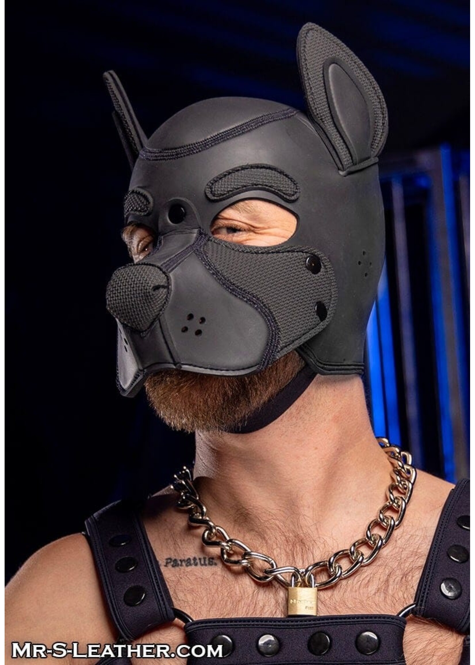 Mr. S Leather Neoprene Frisky Pup Hood