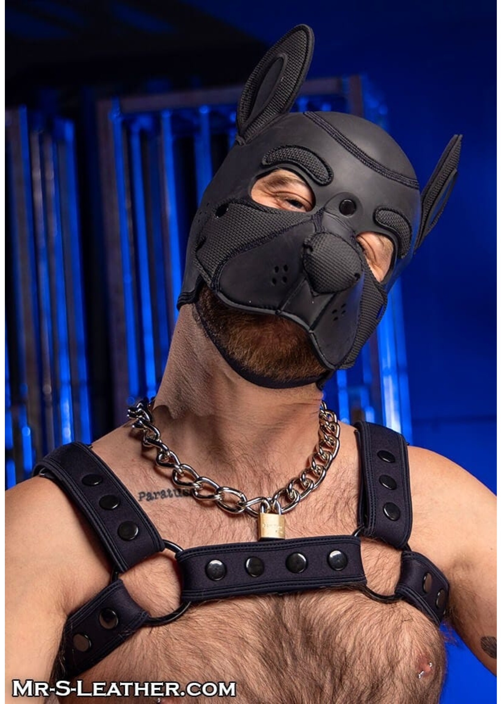 Mr. S Leather Neoprene Frisky Pup Hood