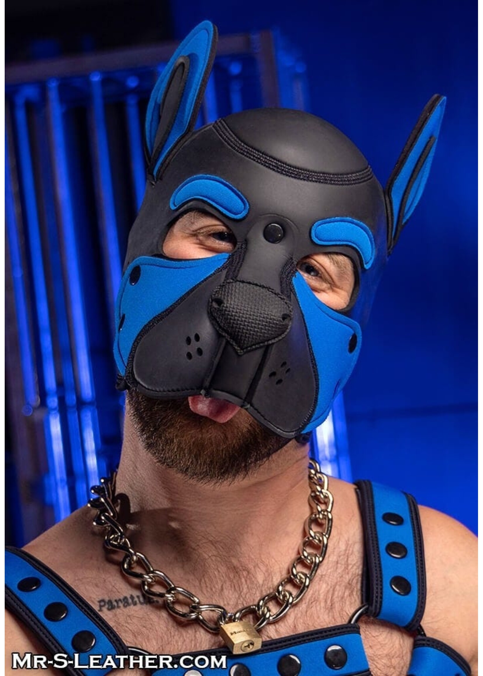 Mr. S Leather Neoprene Frisky Pup Hood