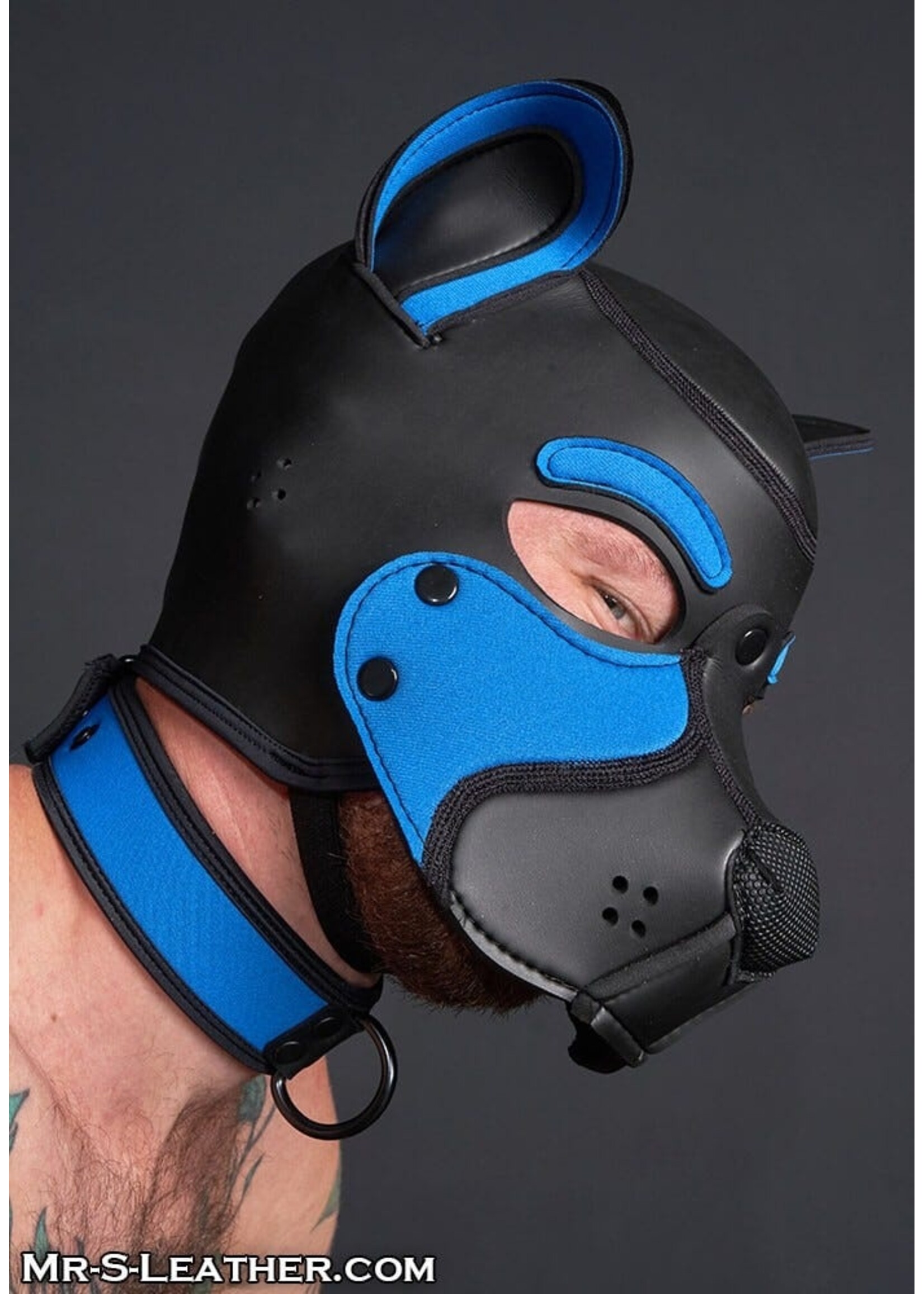 Mr. S Leather Neoprene Frisky Pup Hood