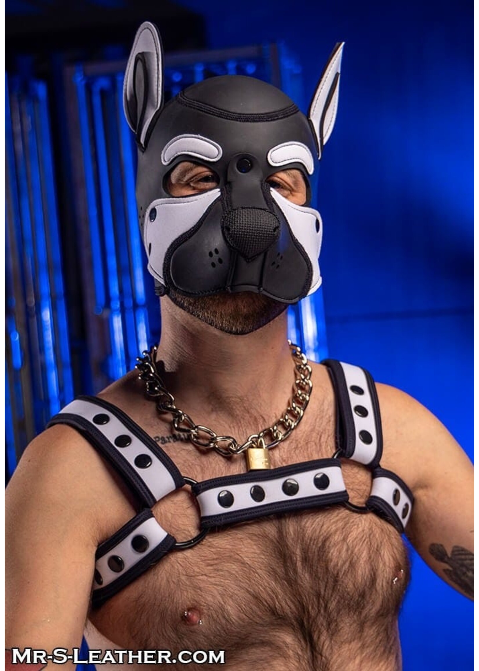 Mr. S Leather Neoprene Frisky Pup Hood