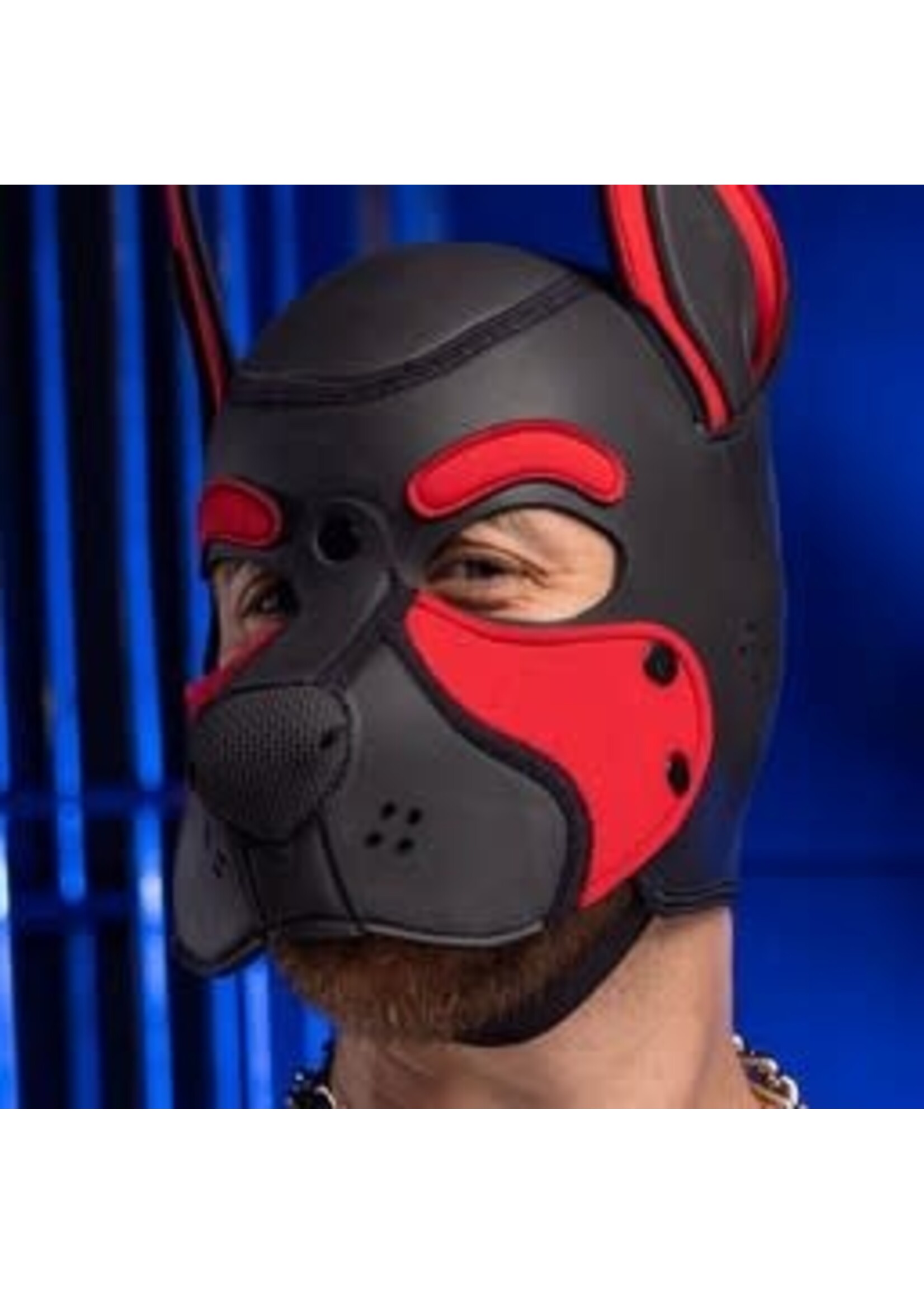 Mr. S Leather Neoprene Frisky Pup Hood