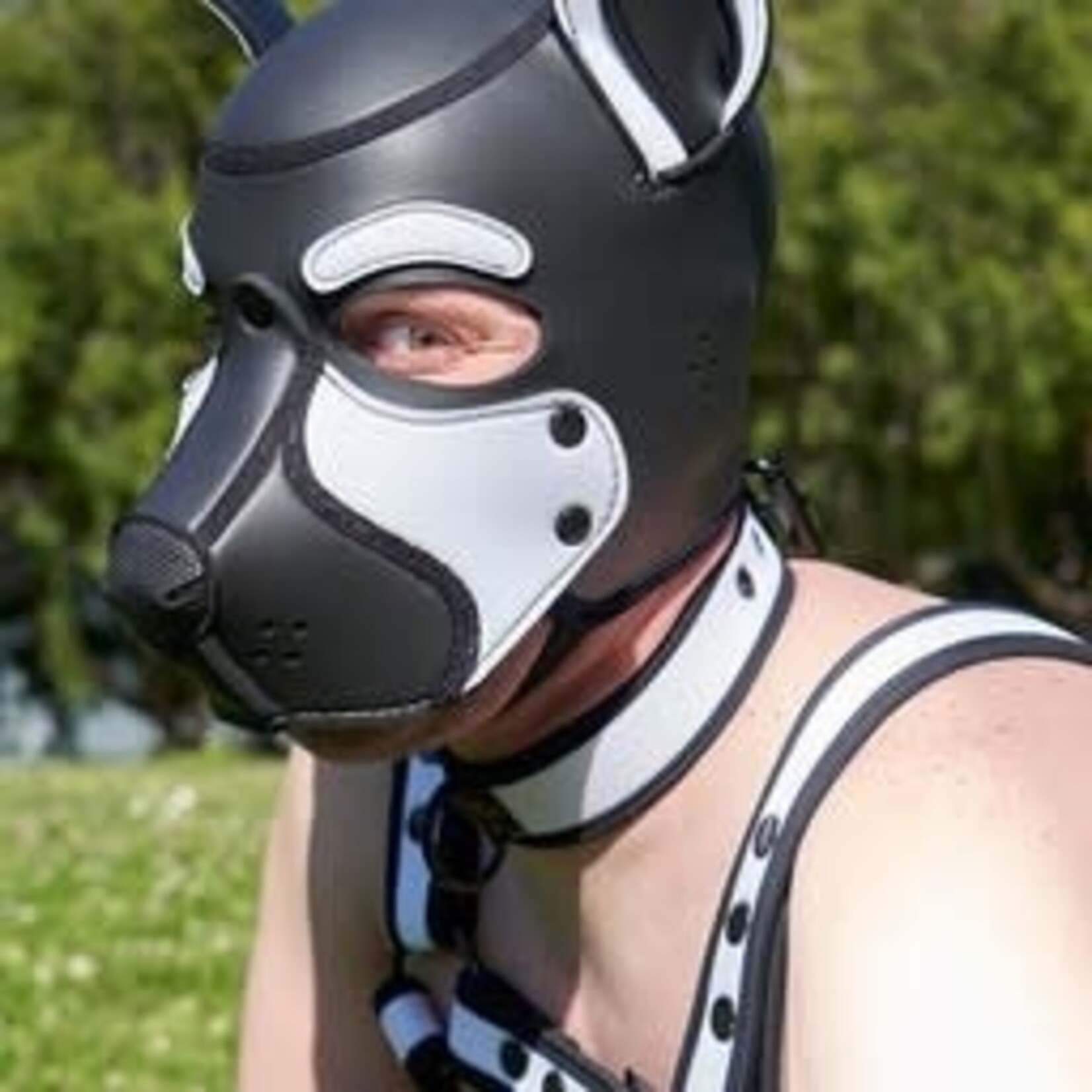 Mr. S Leather Neoprene Frisky Pup Hood