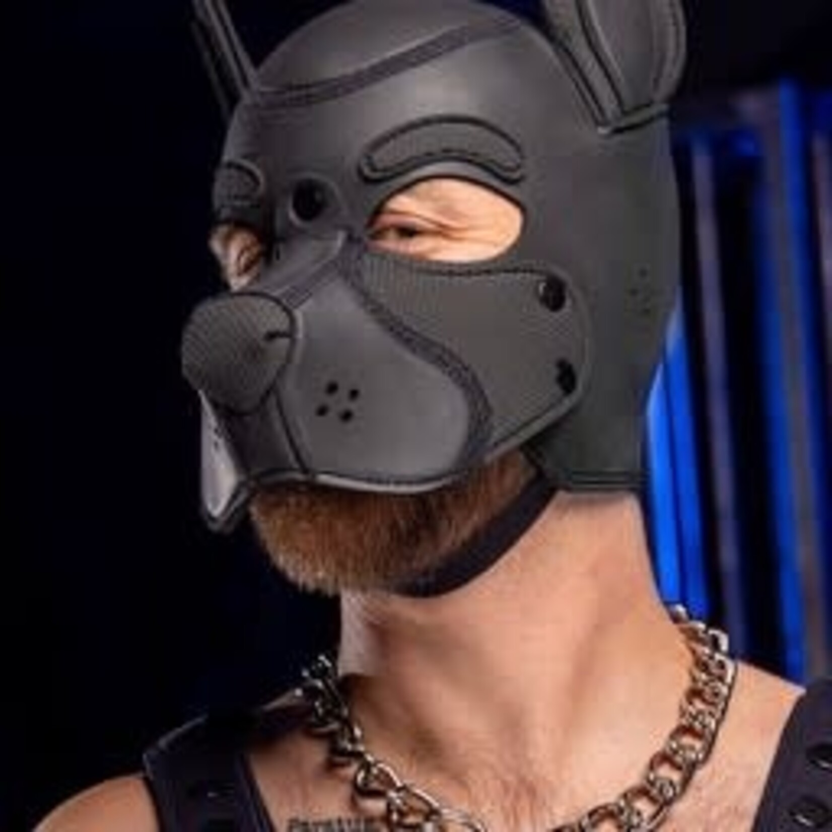 Mr. S Leather Neoprene Frisky Pup Hood