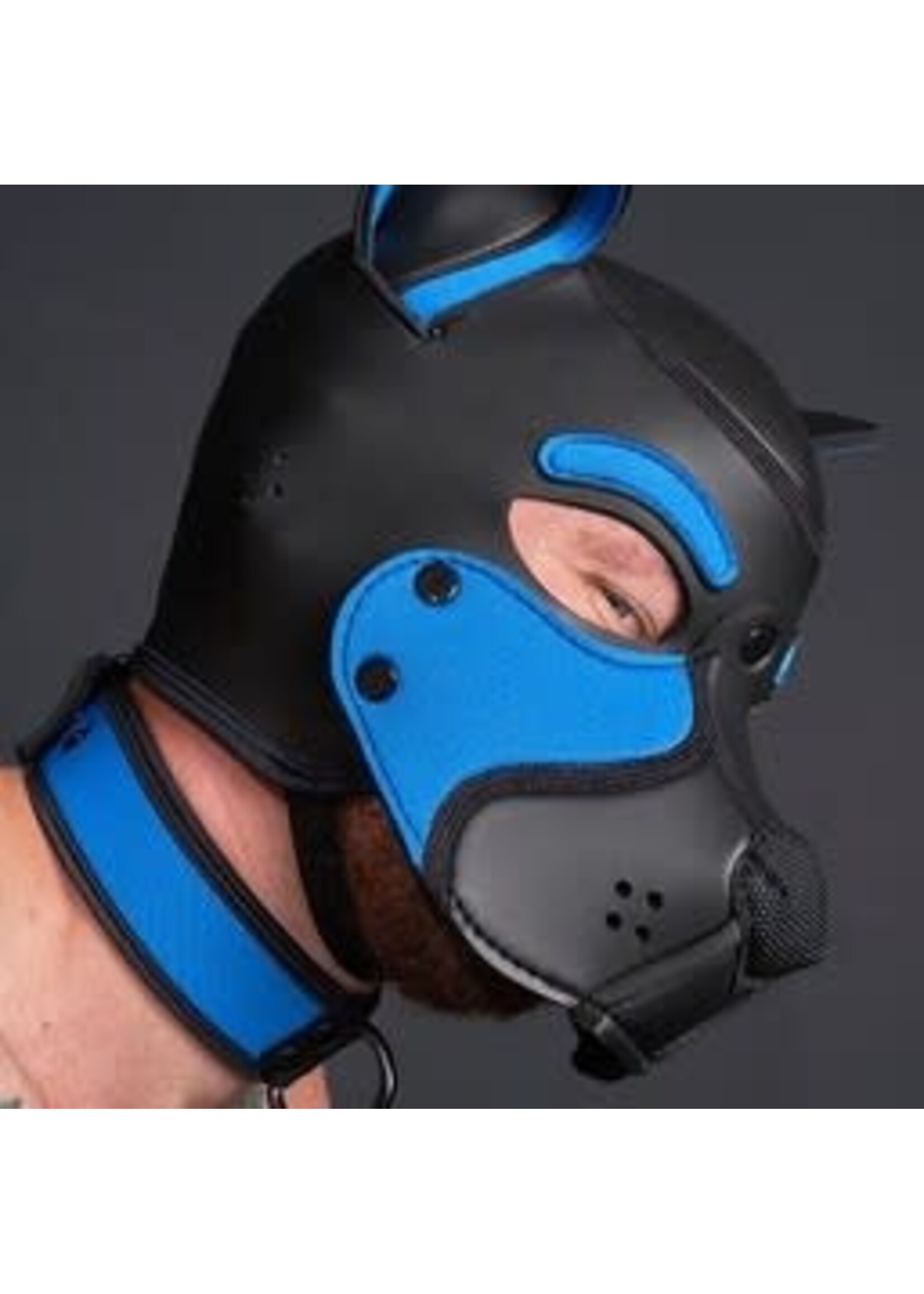 Mr. S Leather Neoprene Frisky Pup Hood