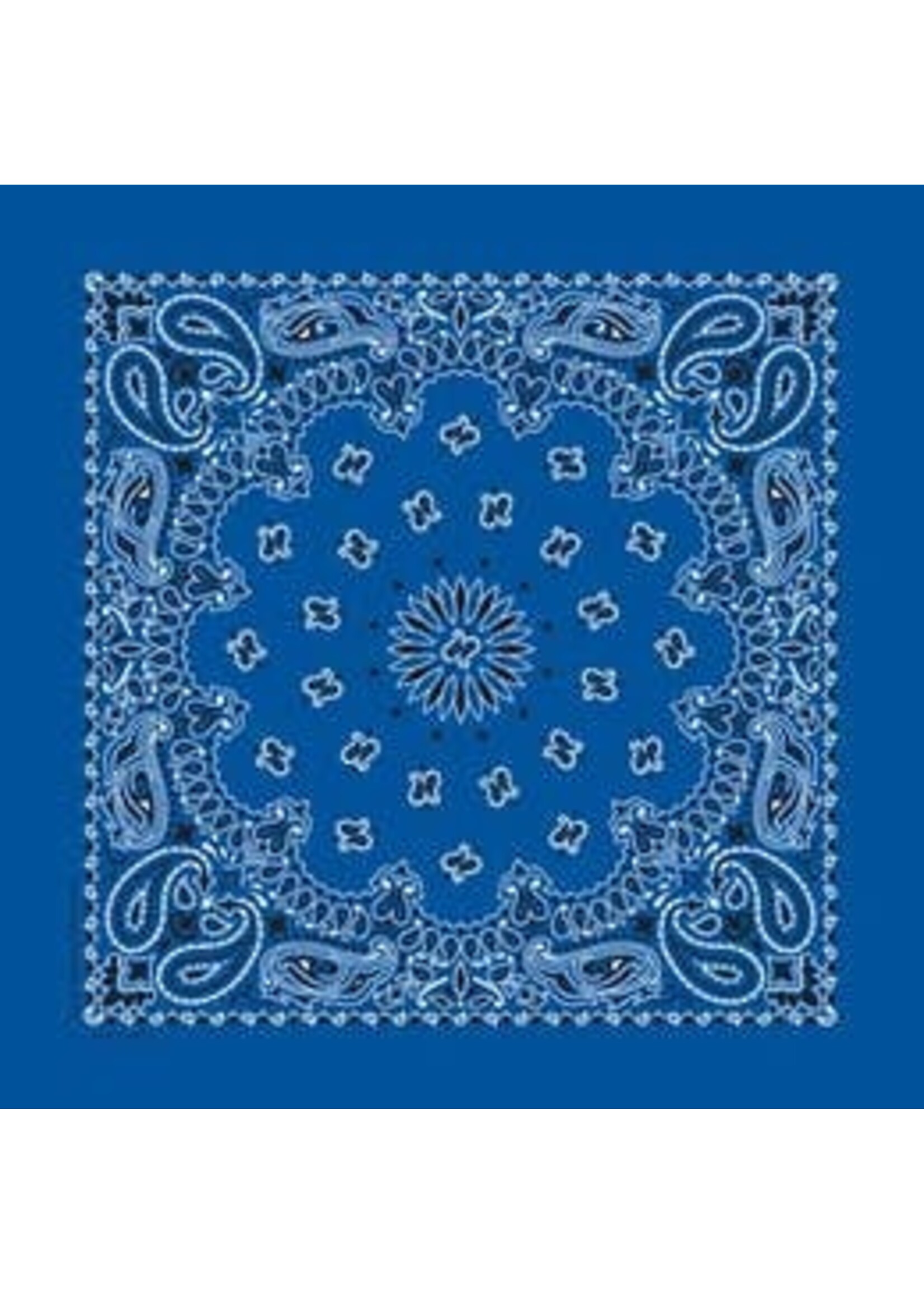 Classic Paisley Bandanna